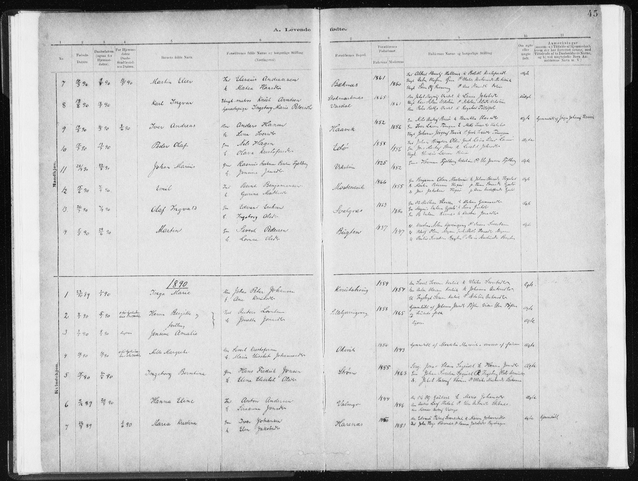 Ministerialprotokoller, klokkerbøker og fødselsregistre - Sør-Trøndelag, SAT/A-1456/634/L0533: Parish register (official) no. 634A09, 1882-1901, p. 45