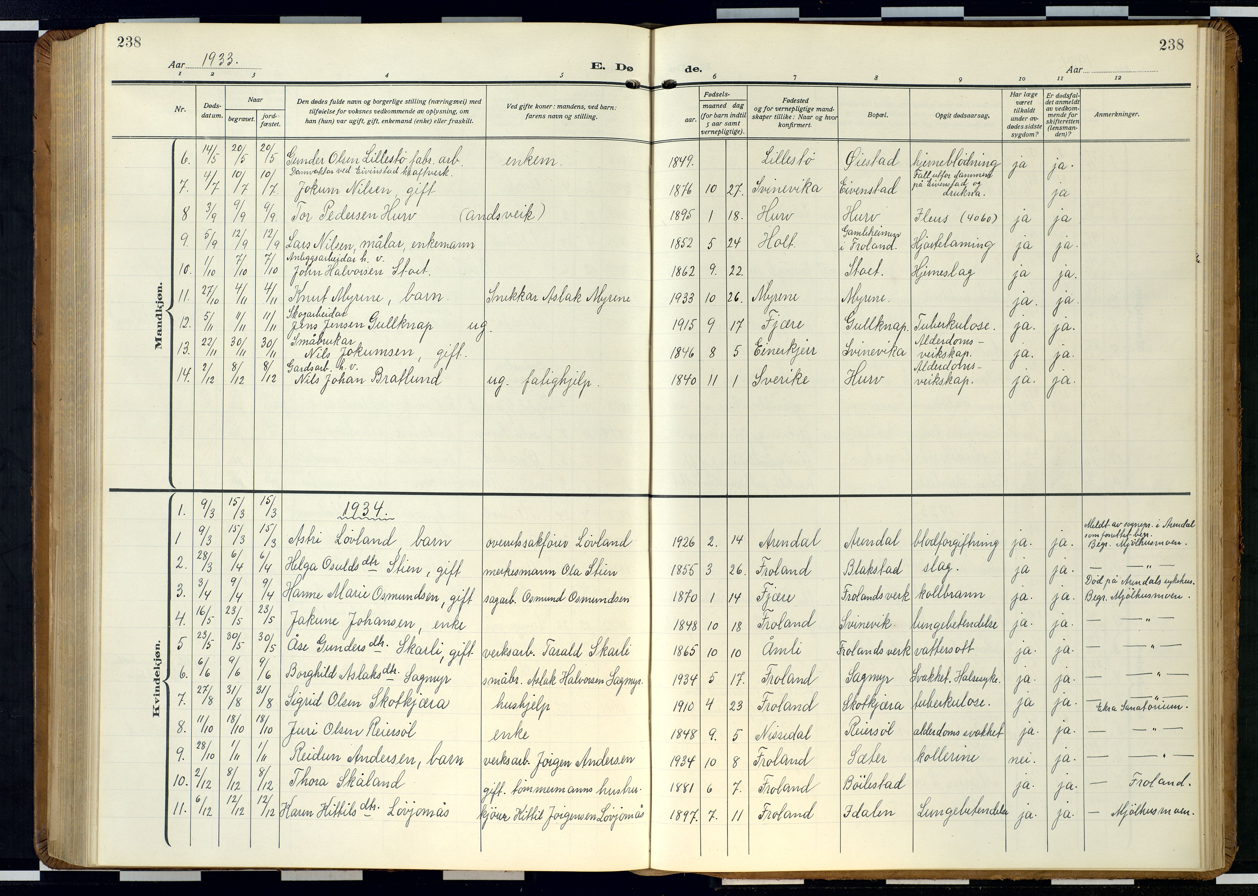 Froland sokneprestkontor, SAK/1111-0013/F/Fb/L0011: Parish register (copy) no. B 11, 1921-1947, p. 238