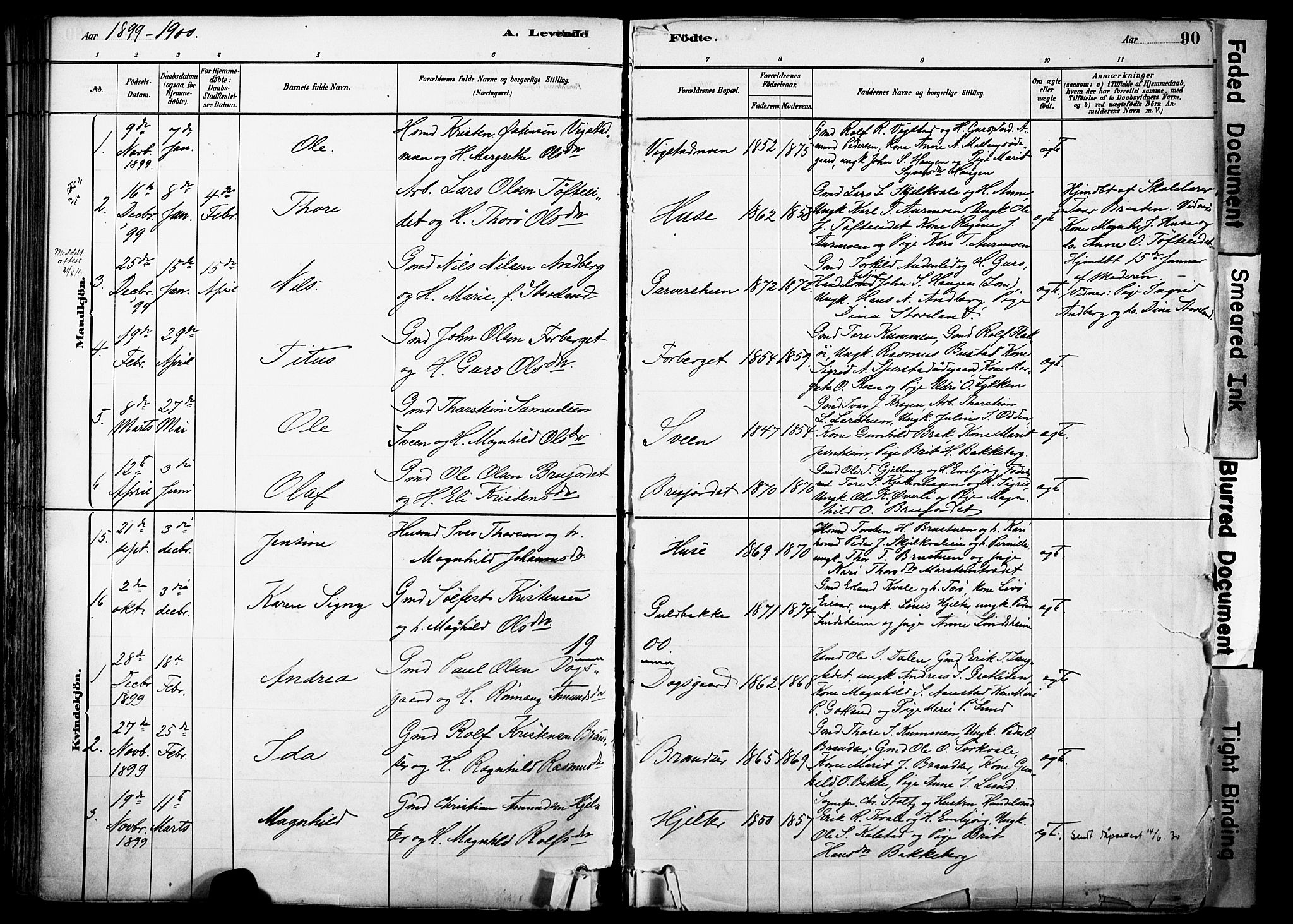 Skjåk prestekontor, AV/SAH-PREST-072/H/Ha/Haa/L0003: Parish register (official) no. 3, 1880-1907, p. 90