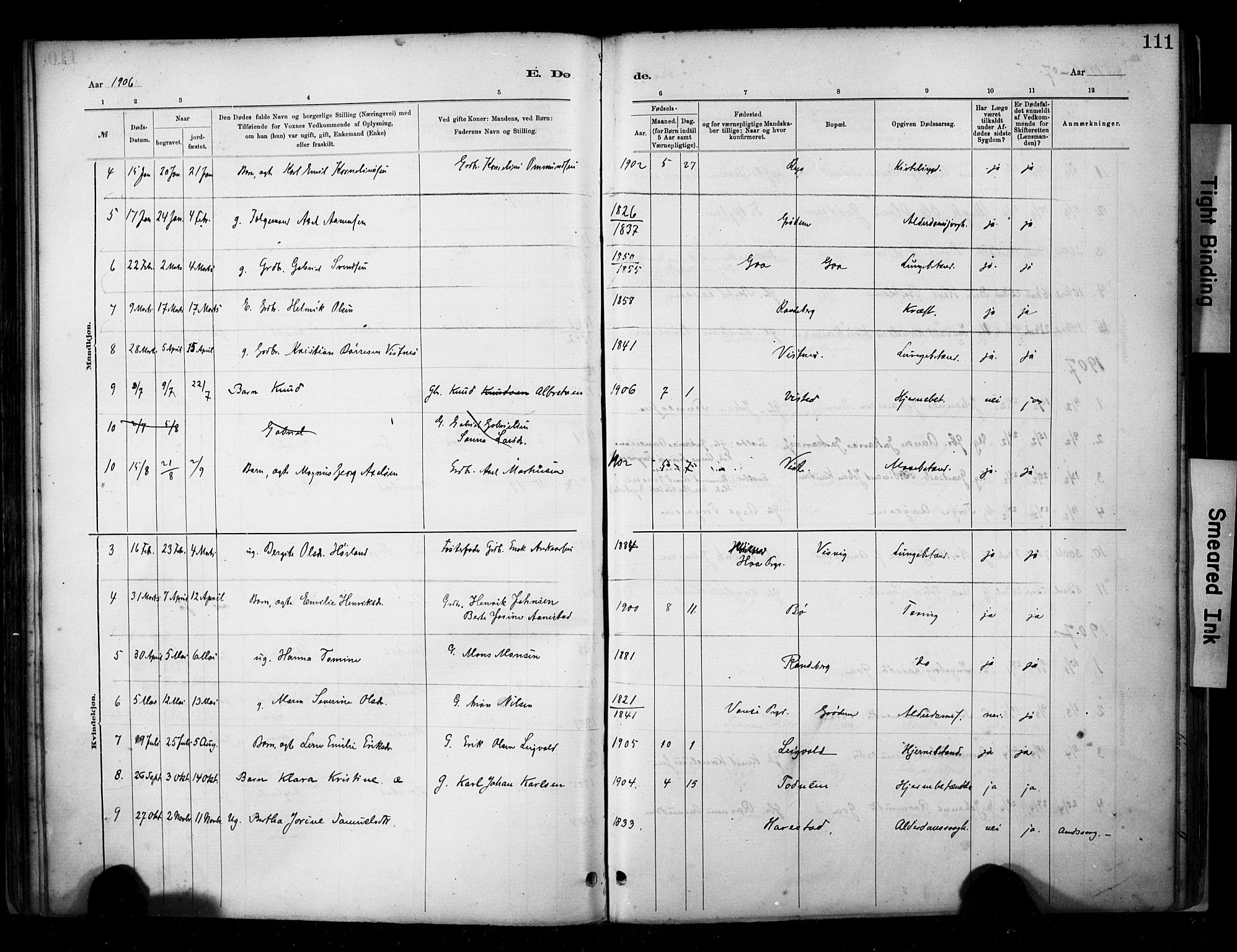 Hetland sokneprestkontor, AV/SAST-A-101826/30/30BA/L0009: Parish register (official) no. A 9, 1882-1918, p. 111