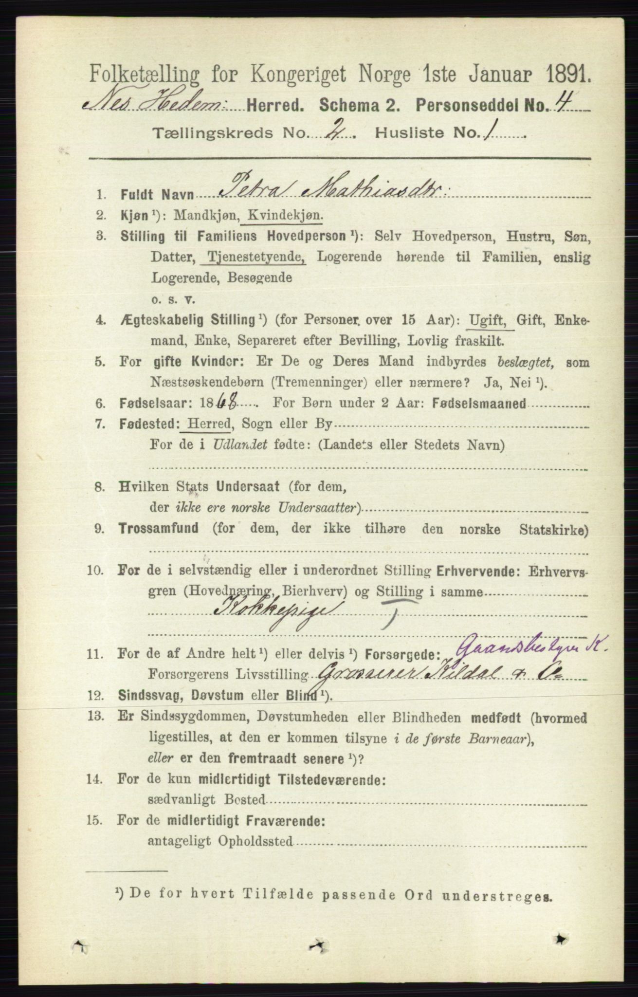 RA, 1891 census for 0411 Nes, 1891, p. 1075