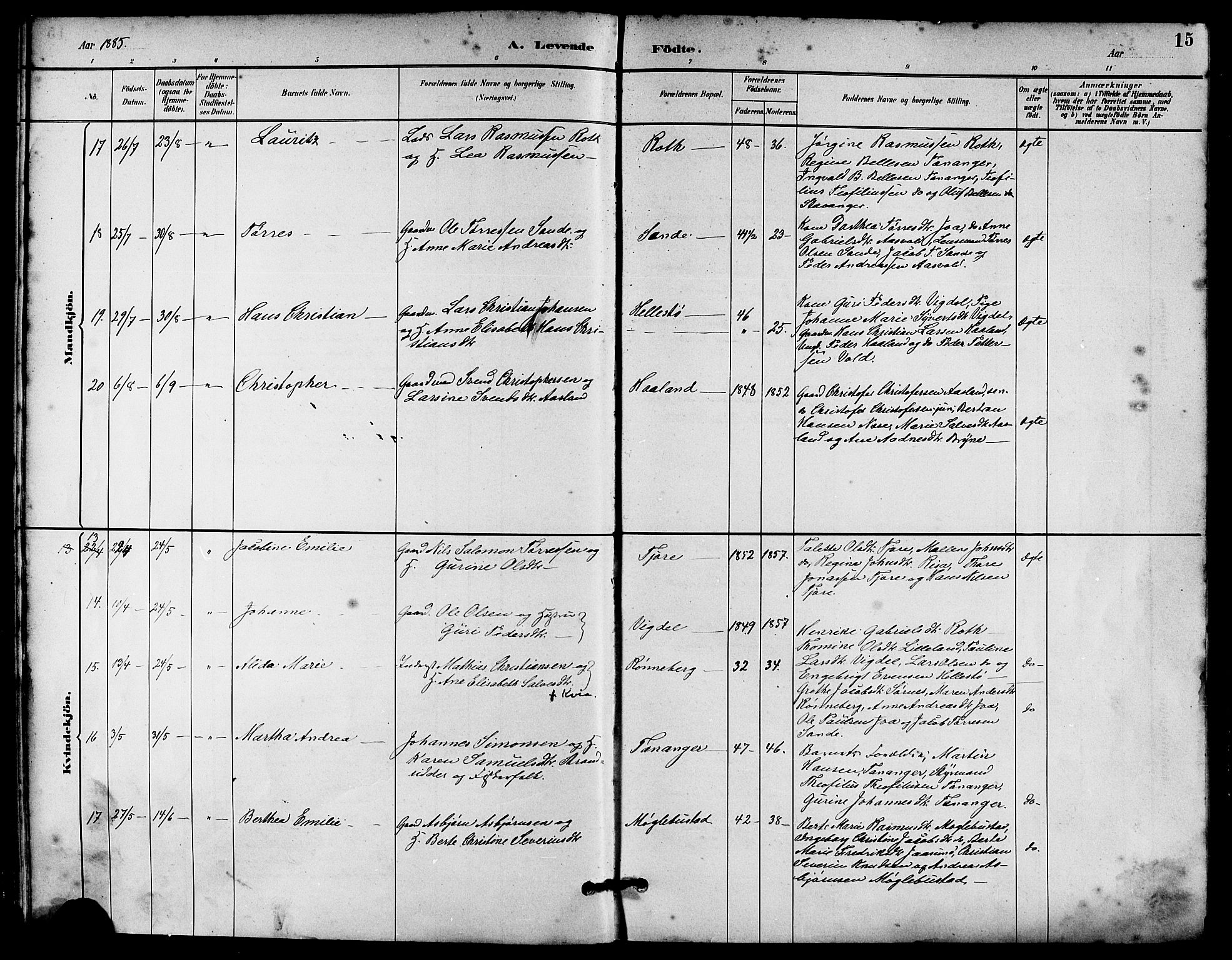 Håland sokneprestkontor, AV/SAST-A-101802/001/30BA/L0010: Parish register (official) no. A 9, 1883-1888, p. 15