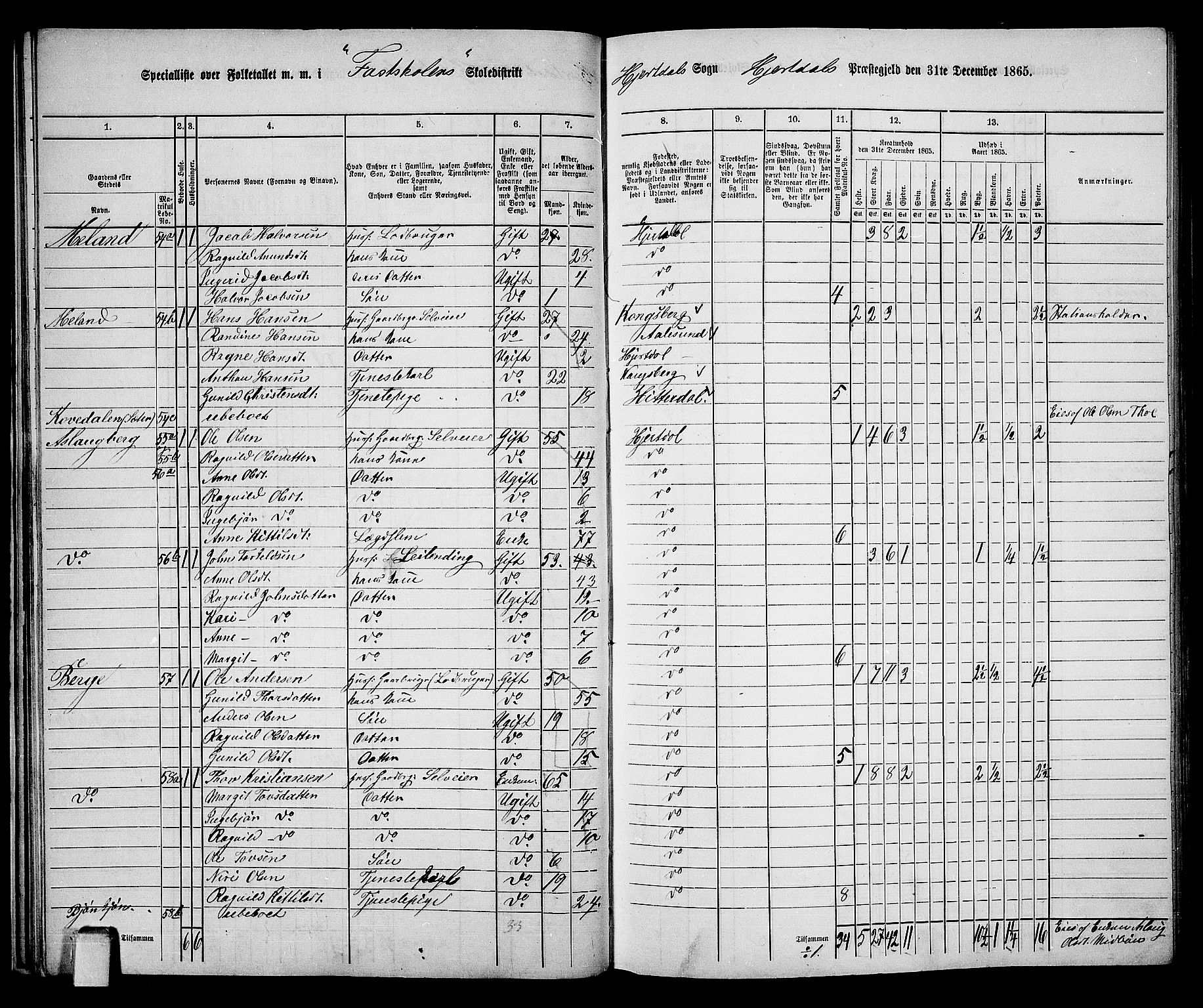 RA, 1865 census for Hjartdal, 1865, p. 29