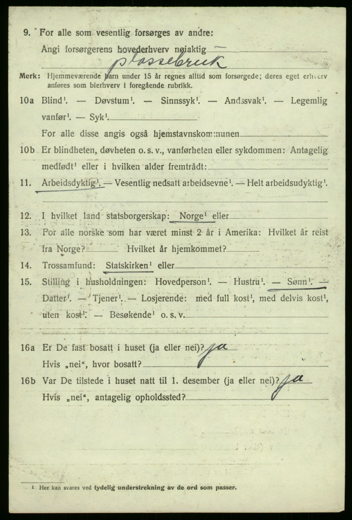 SAB, 1920 census for Årdal, 1920, p. 860