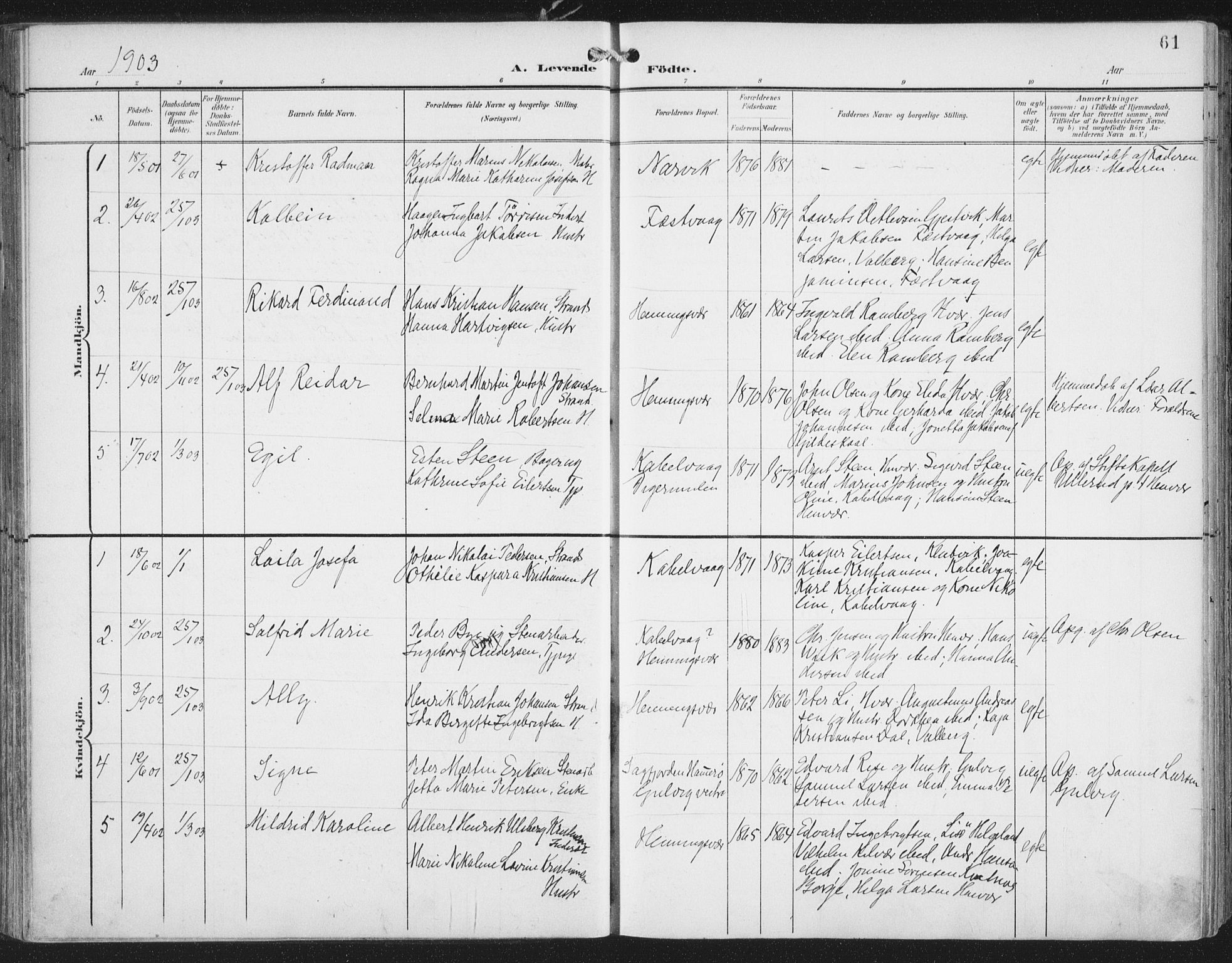 Ministerialprotokoller, klokkerbøker og fødselsregistre - Nordland, AV/SAT-A-1459/874/L1062: Parish register (official) no. 874A06, 1899-1907, p. 61