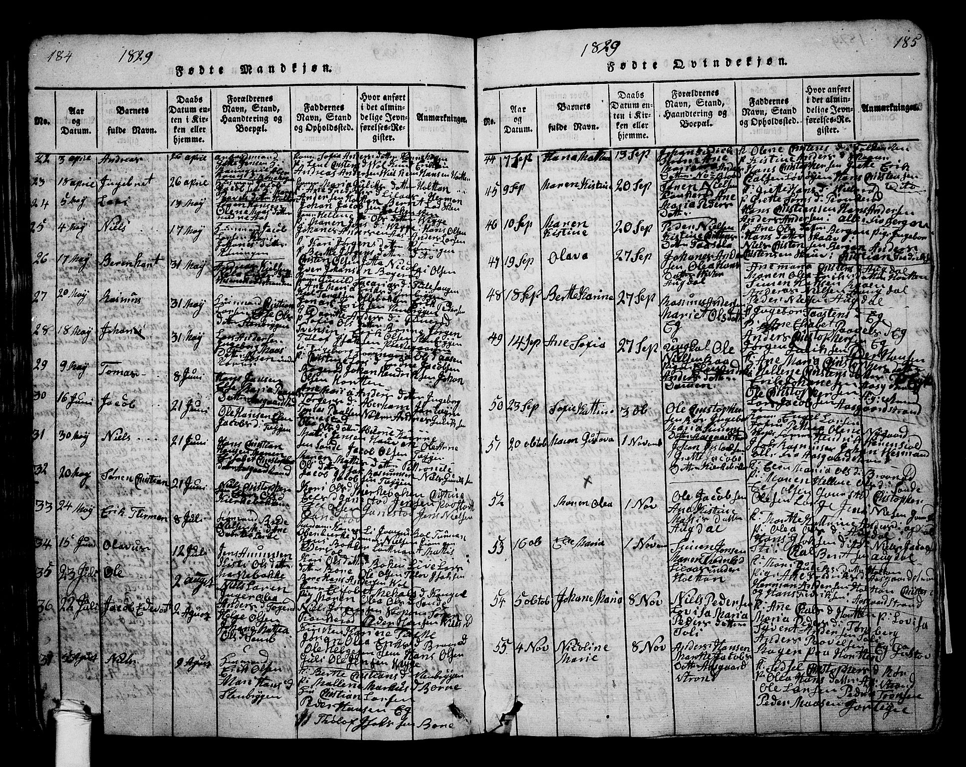 Borre kirkebøker, AV/SAKO-A-338/G/Ga/L0001: Parish register (copy) no. I 1, 1815-1851, p. 184-185