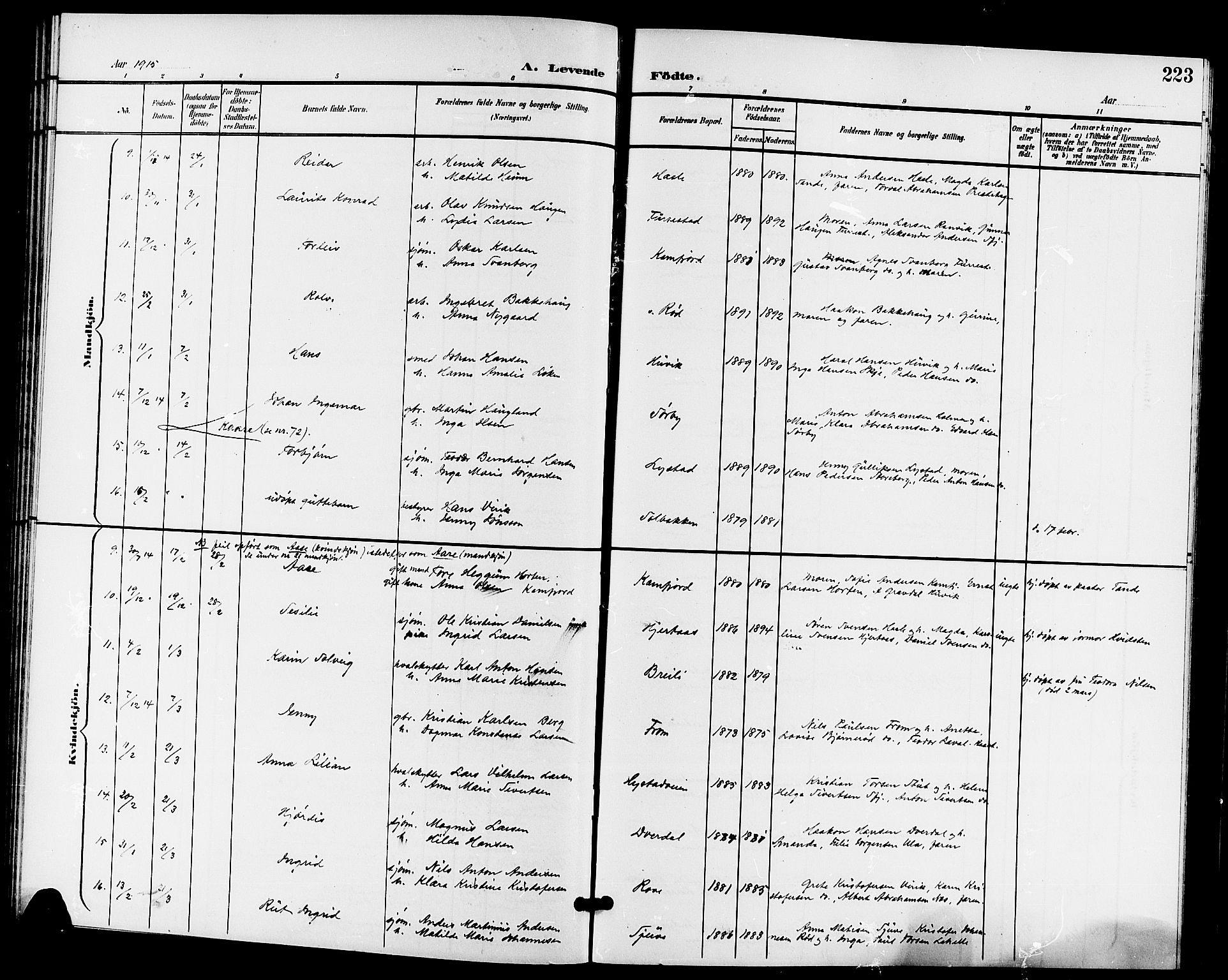 Sandar kirkebøker, SAKO/A-243/G/Ga/L0002: Parish register (copy) no. 2, 1900-1915, p. 223