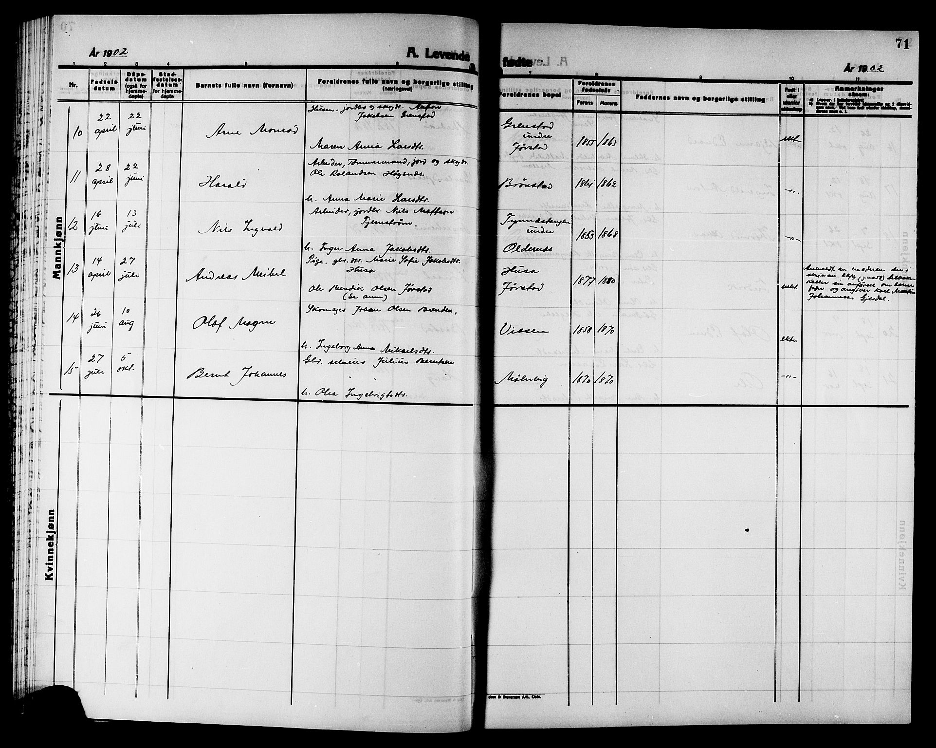 Ministerialprotokoller, klokkerbøker og fødselsregistre - Nord-Trøndelag, AV/SAT-A-1458/749/L0487: Parish register (official) no. 749D03, 1887-1902, p. 71