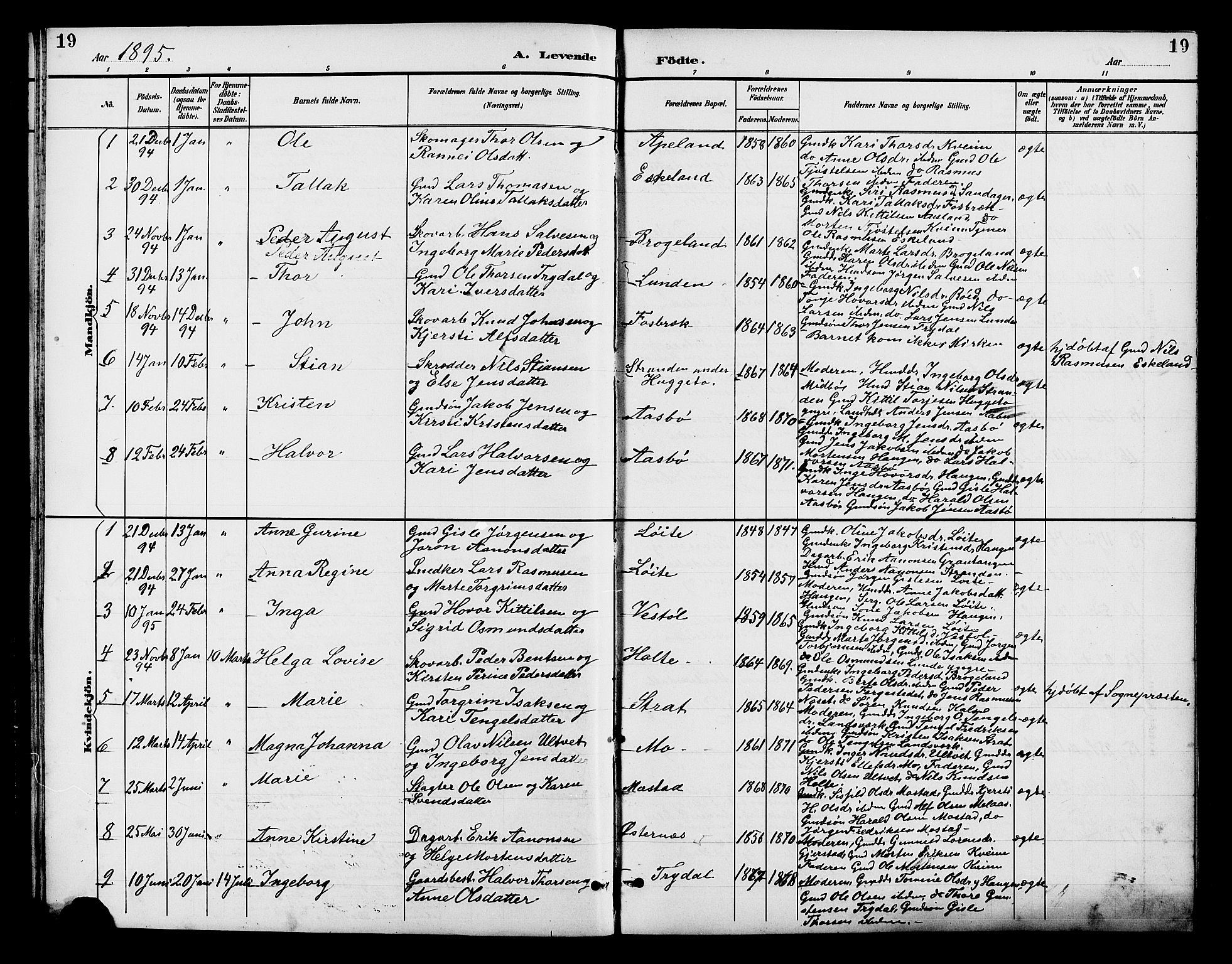 Gjerstad sokneprestkontor, AV/SAK-1111-0014/F/Fb/Fba/L0007: Parish register (copy) no. B 7, 1891-1908, p. 19