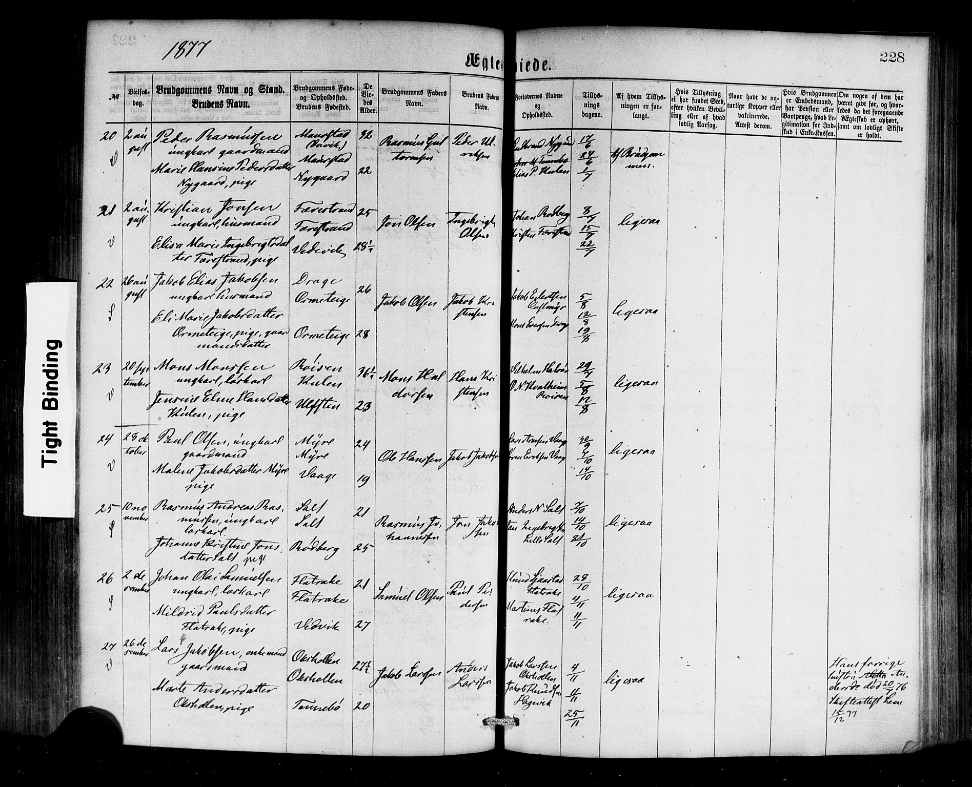 Selje sokneprestembete, SAB/A-99938/H/Ha/Haa/Haaa: Parish register (official) no. A 12, 1870-1880, p. 228