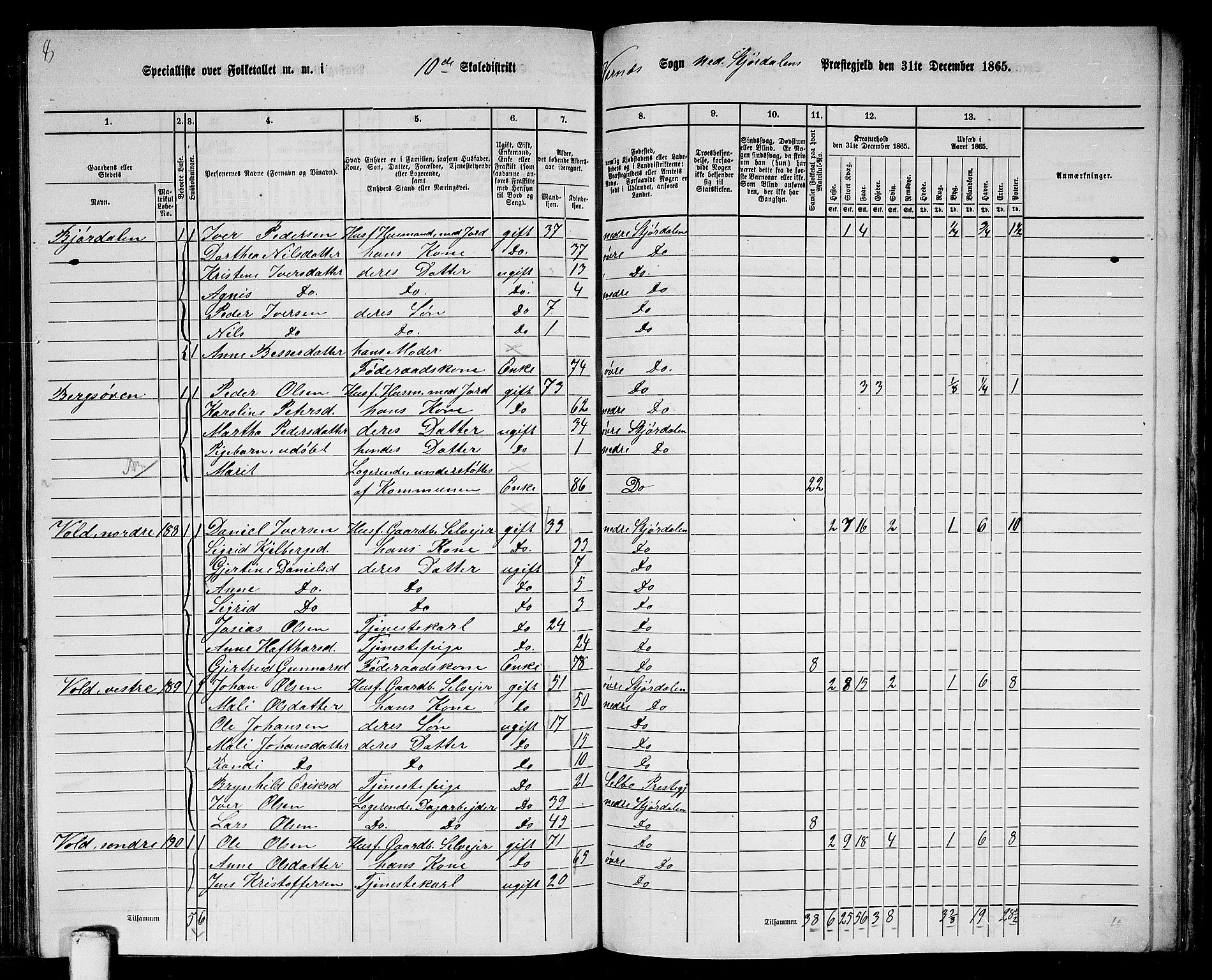 RA, 1865 census for Nedre Stjørdal, 1865, p. 214