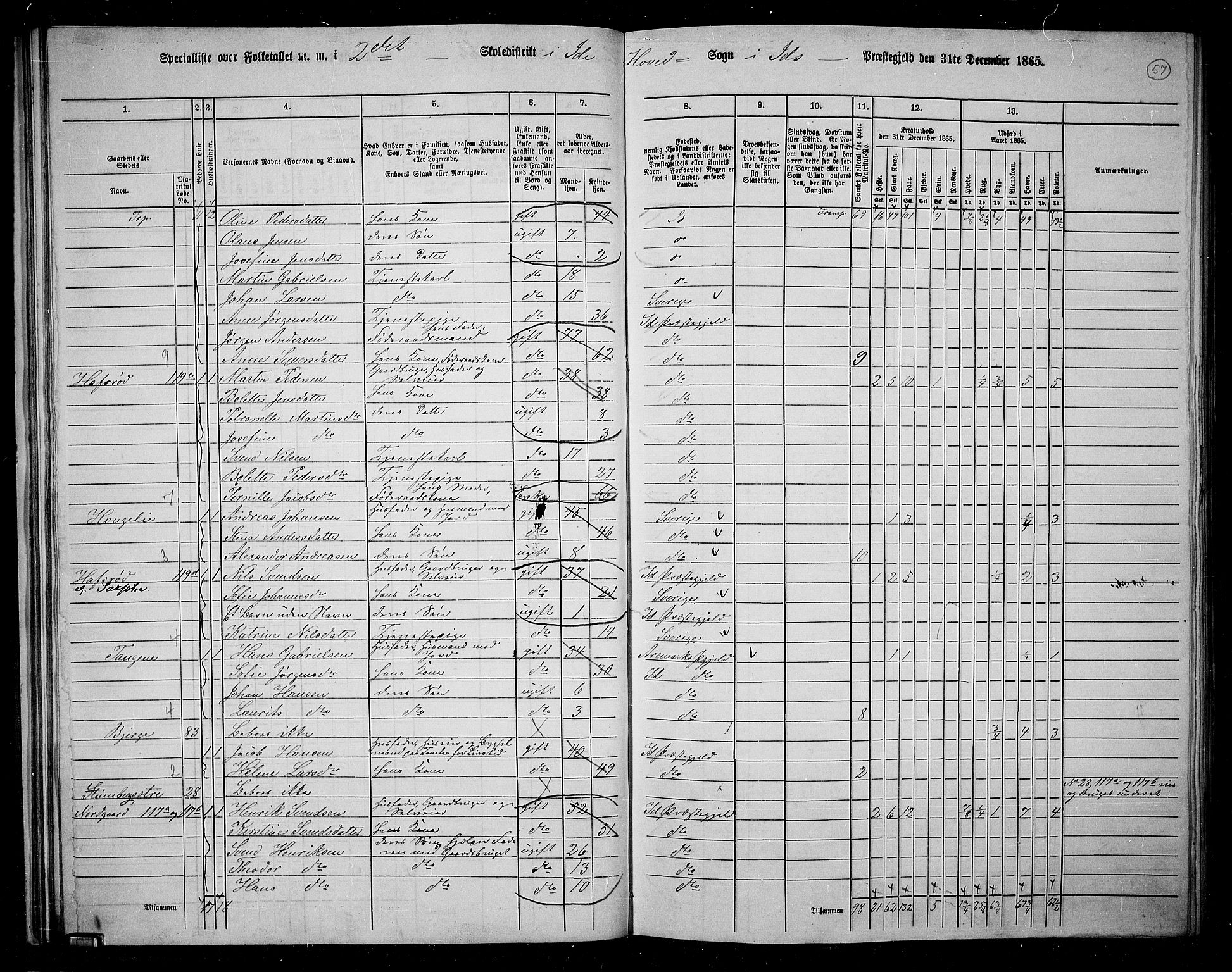 RA, 1865 census for Idd, 1865, p. 49