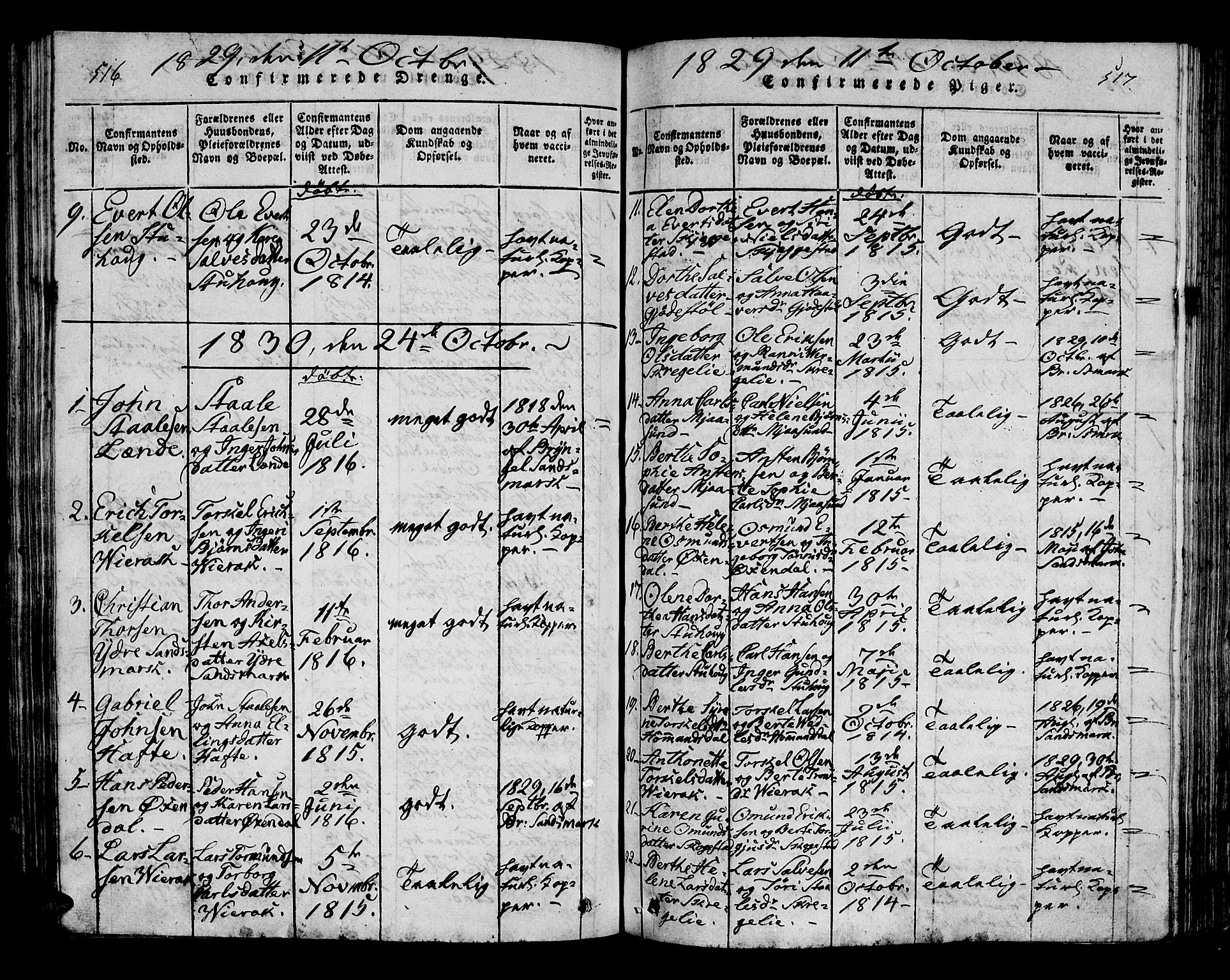 Bakke sokneprestkontor, SAK/1111-0002/F/Fa/Faa/L0003: Parish register (official) no. A 3, 1815-1835, p. 516-517