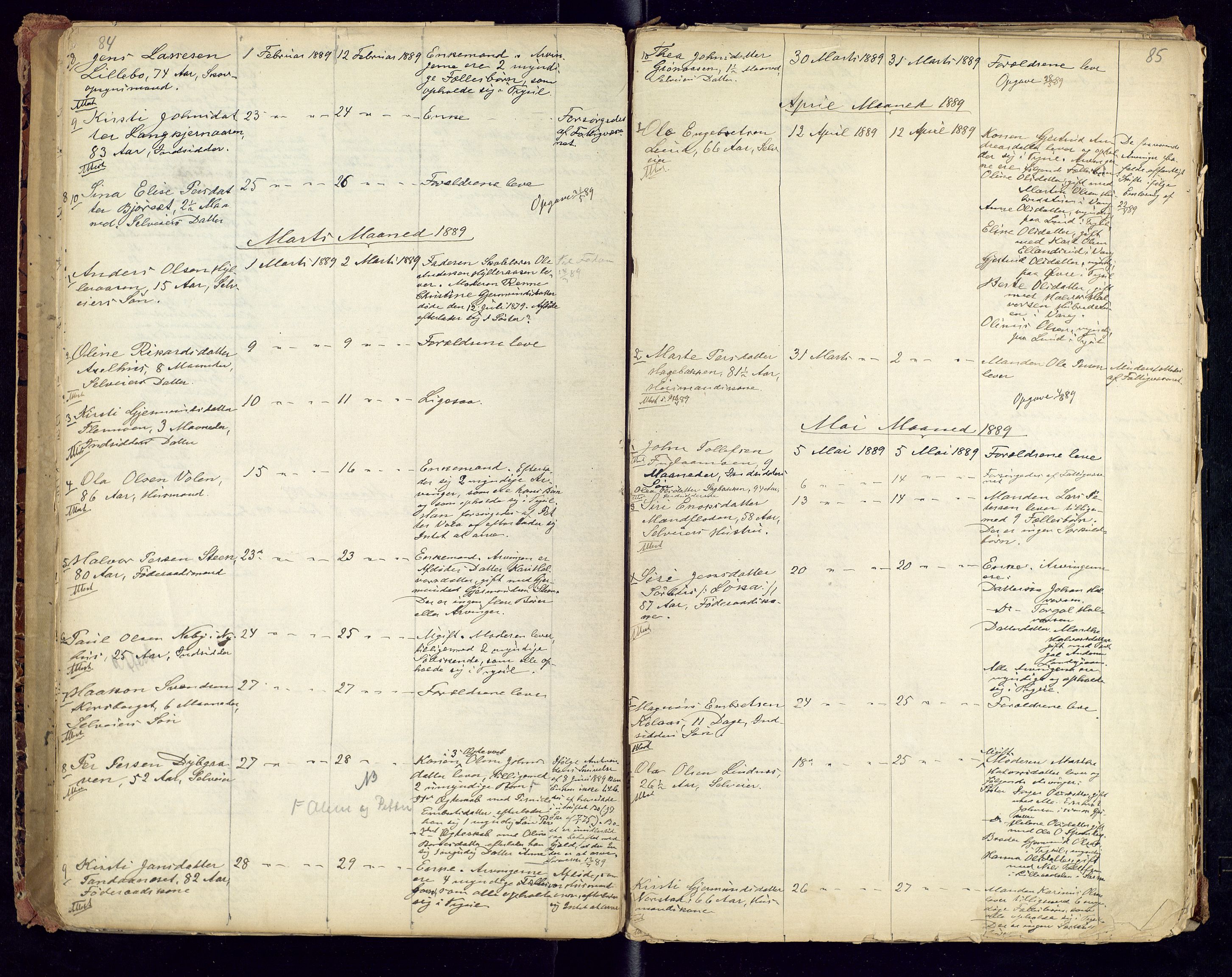 Trysil lensmannskontor, AV/SAH-LHT-026/H/Ha/L0001: Dødsfallsprotokoll, 1875-1901, p. 84-85