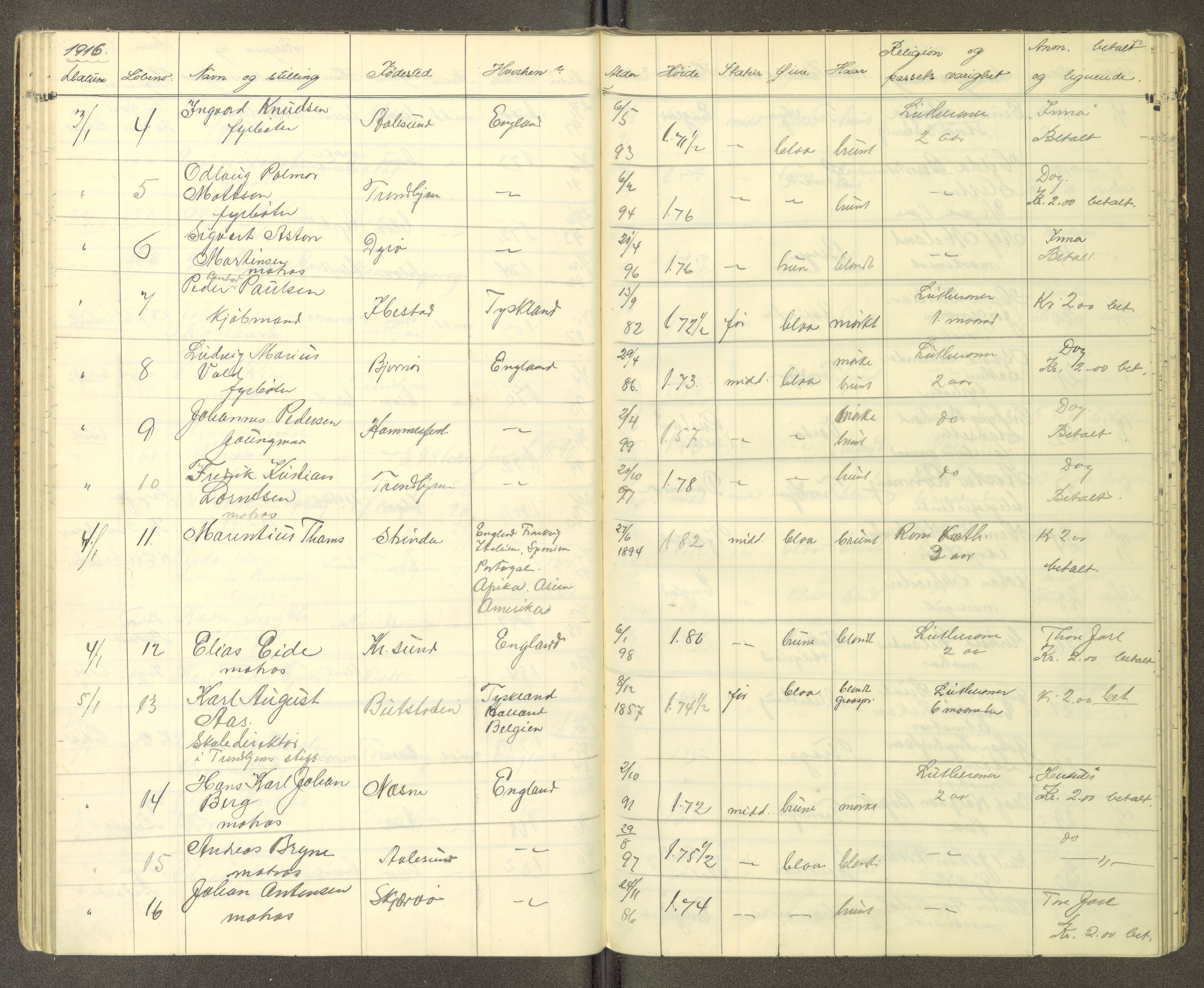 Trondheim politikammer, AV/SAT-A-1887/1/30/L0014: Passprotokoll. Utstedte pass, 1915-1916, p. 47