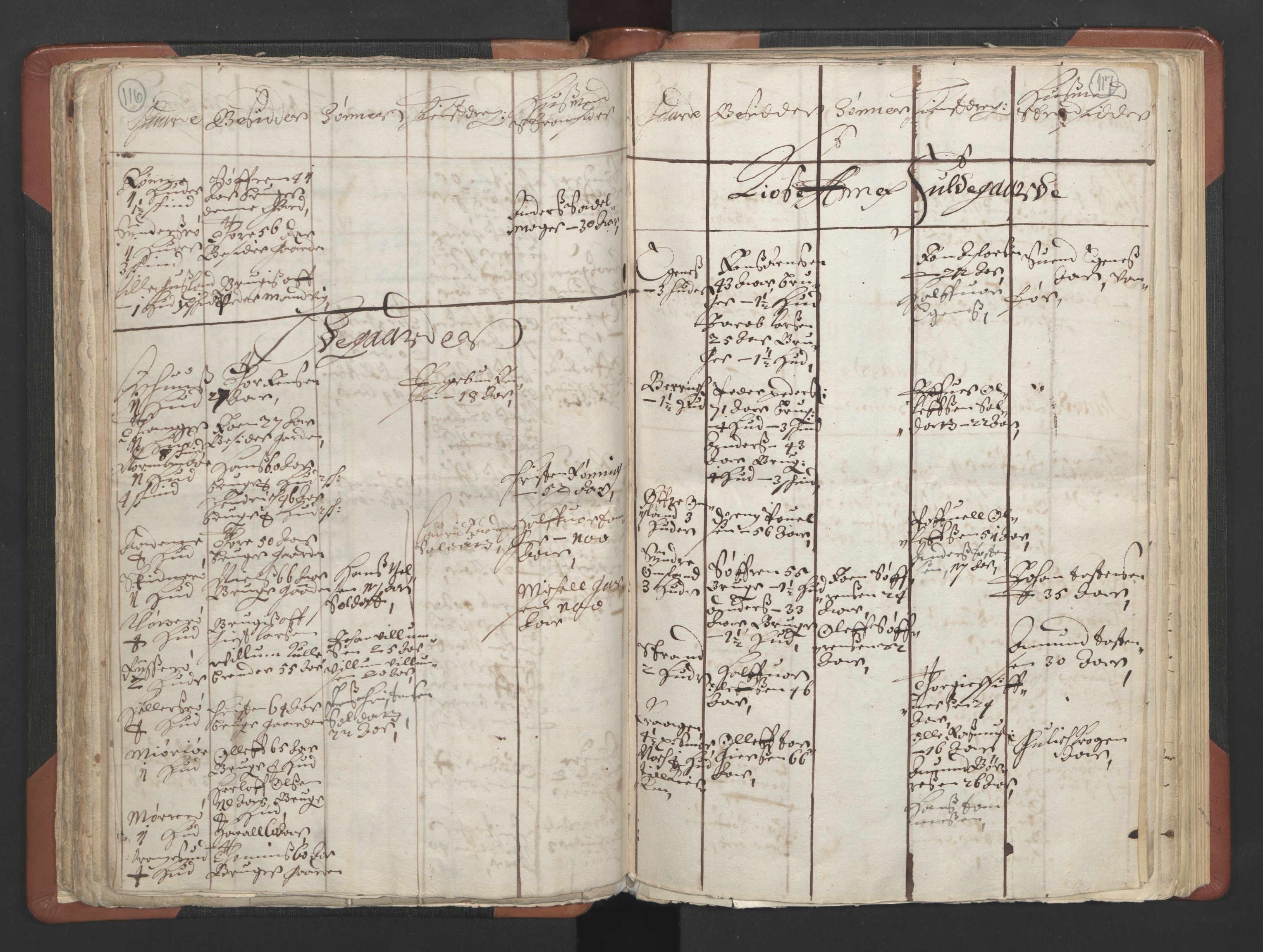 RA, Vicar's Census 1664-1666, no. 11: Brunlanes deanery, 1664-1666, p. 116-117