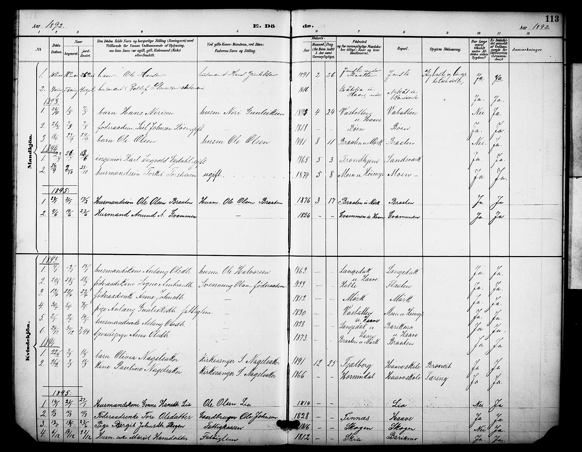 Heddal kirkebøker, SAKO/A-268/F/Fb/L0001: Parish register (official) no. II 1, 1884-1910, p. 113