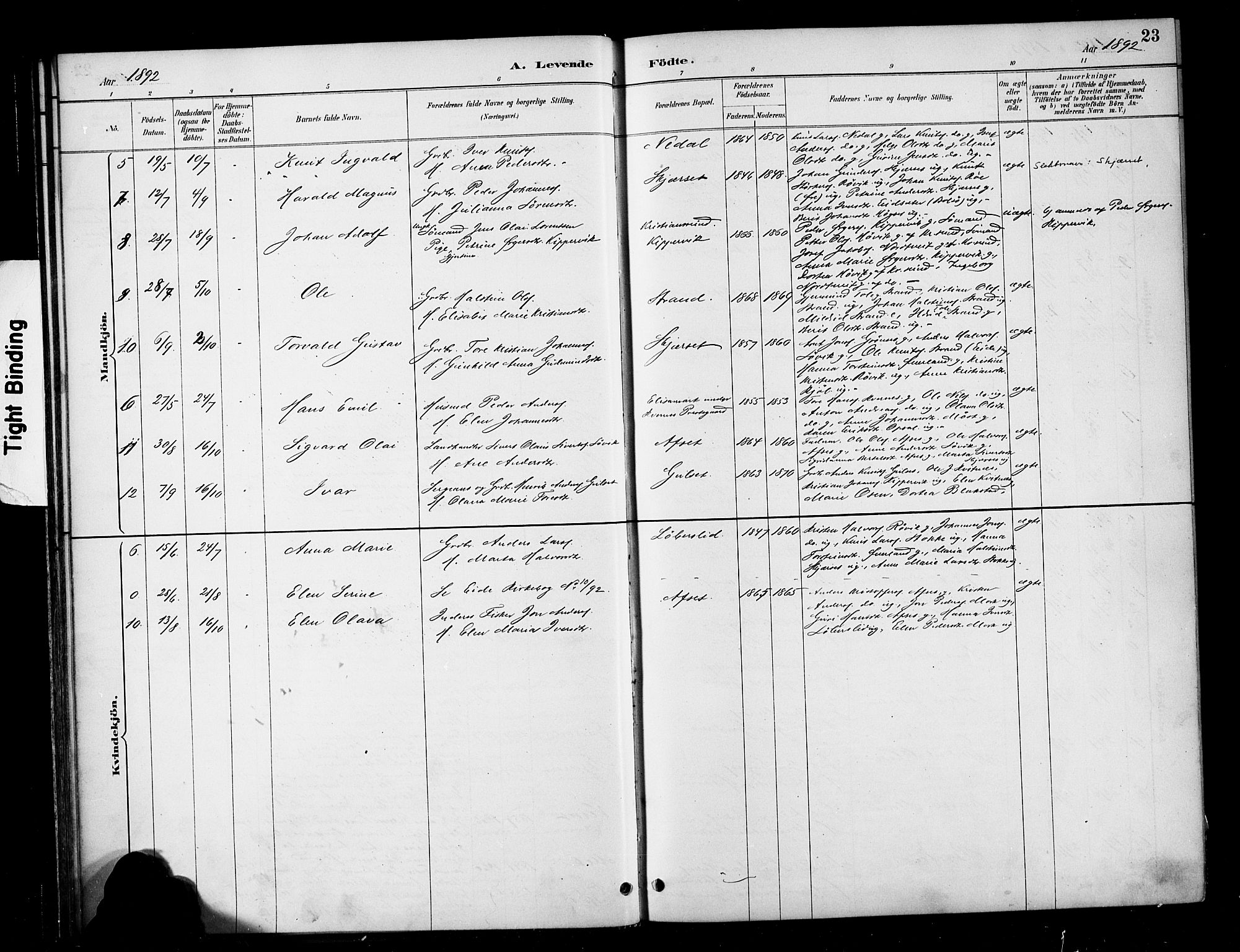 Ministerialprotokoller, klokkerbøker og fødselsregistre - Møre og Romsdal, SAT/A-1454/568/L0809: Parish register (official) no. 568A13, 1884-1900, p. 23