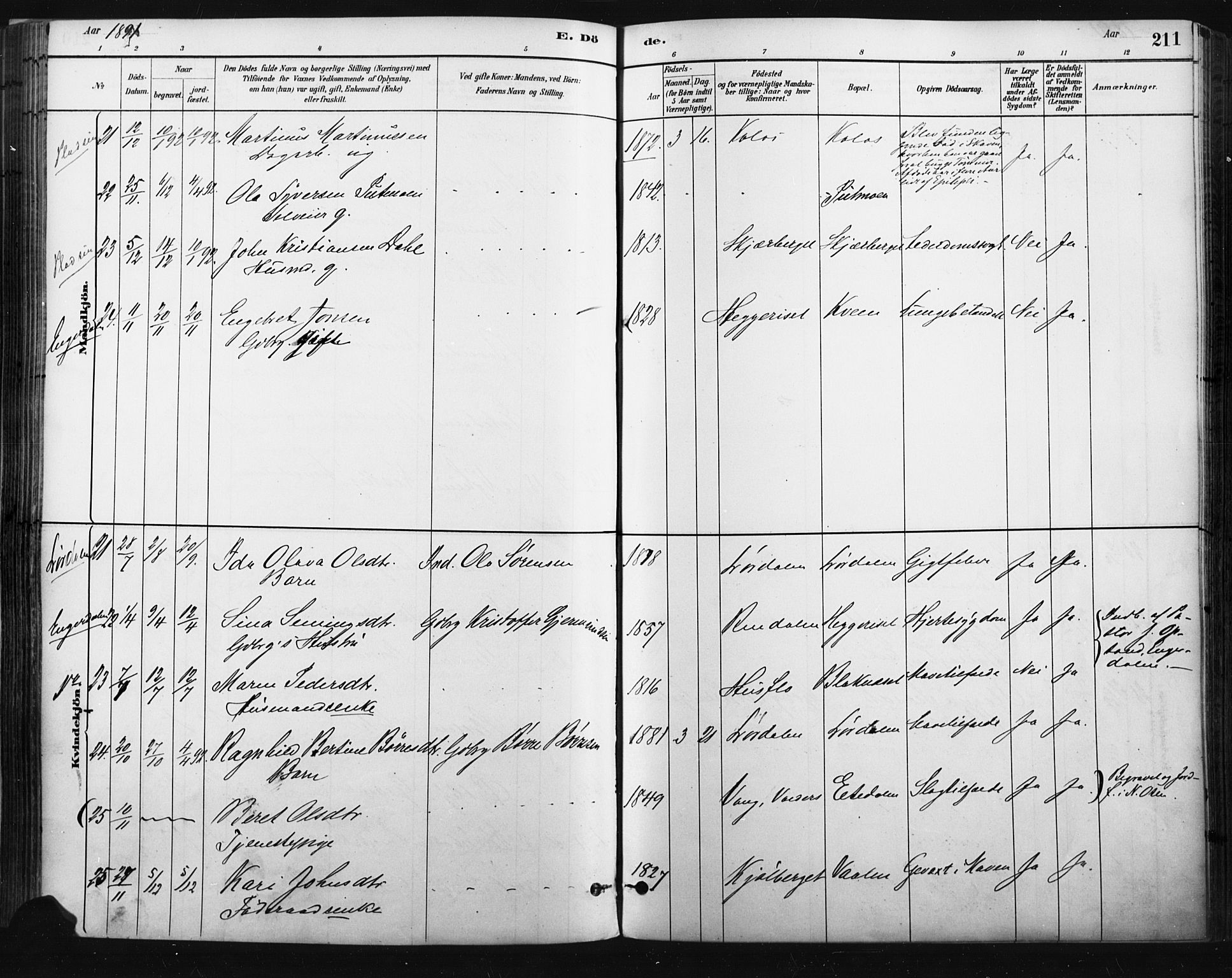 Trysil prestekontor, SAH/PREST-046/H/Ha/Haa/L0009: Parish register (official) no. 9, 1881-1897, p. 211