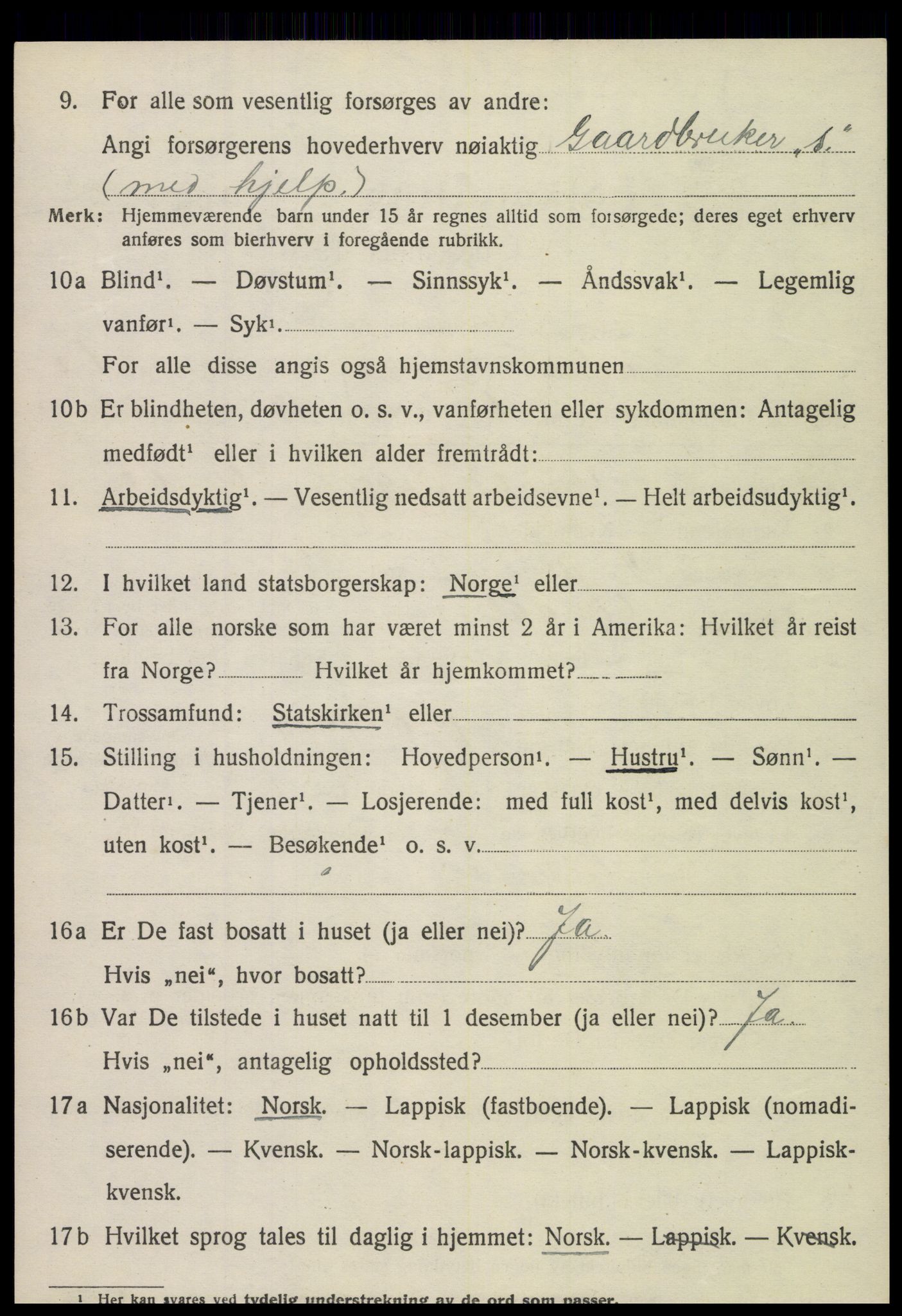 SAT, 1920 census for Sparbu, 1920, p. 1006