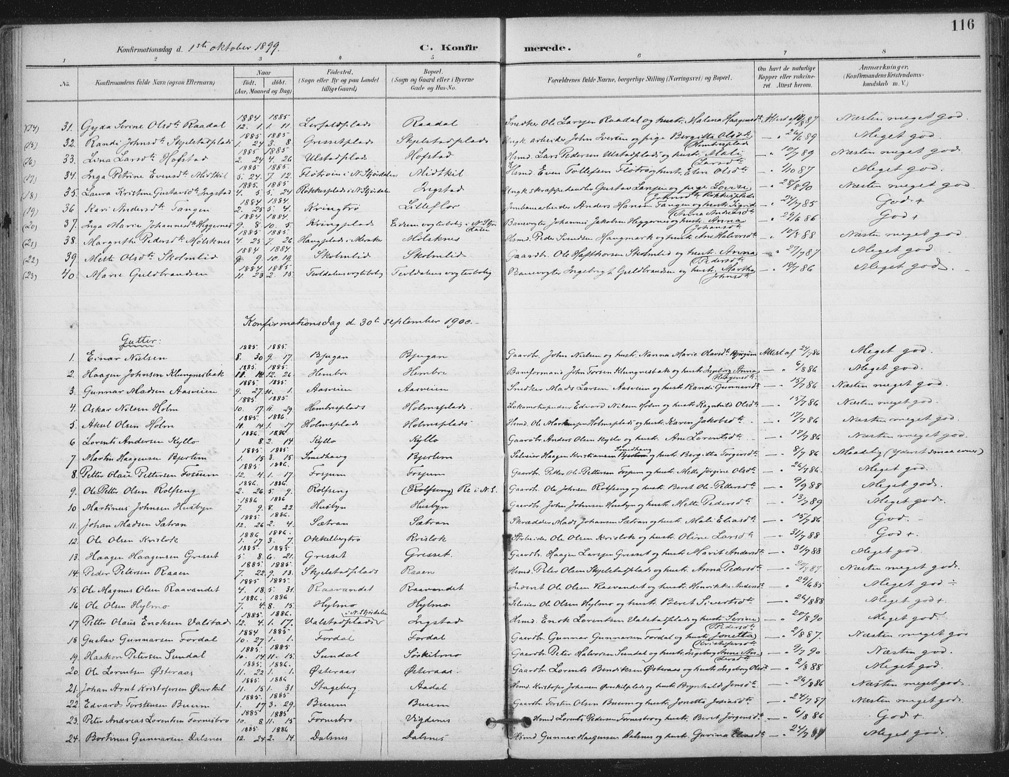 Ministerialprotokoller, klokkerbøker og fødselsregistre - Nord-Trøndelag, SAT/A-1458/703/L0031: Parish register (official) no. 703A04, 1893-1914, p. 116