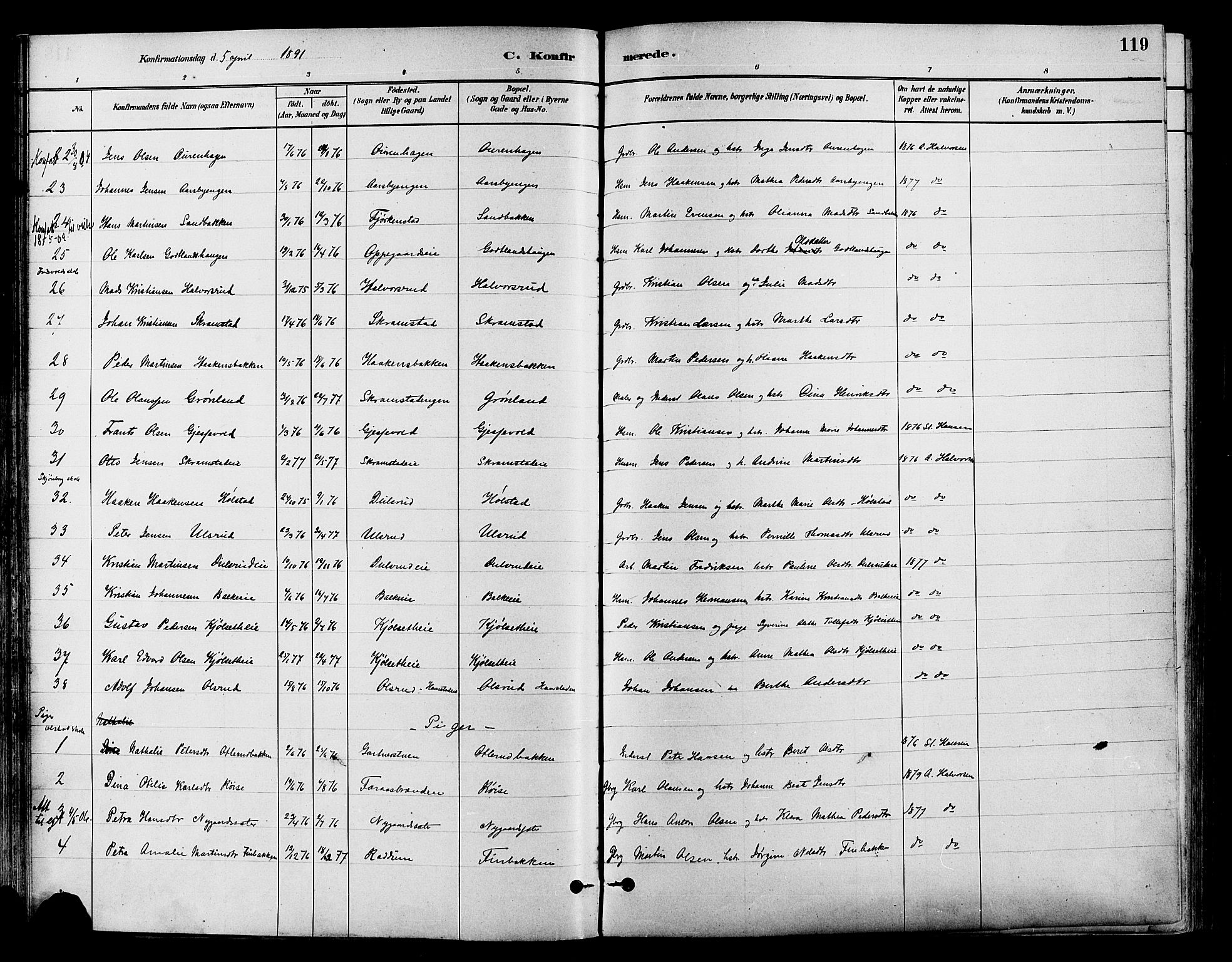 Østre Toten prestekontor, SAH/PREST-104/H/Ha/Haa/L0007: Parish register (official) no. 7, 1881-1896, p. 119