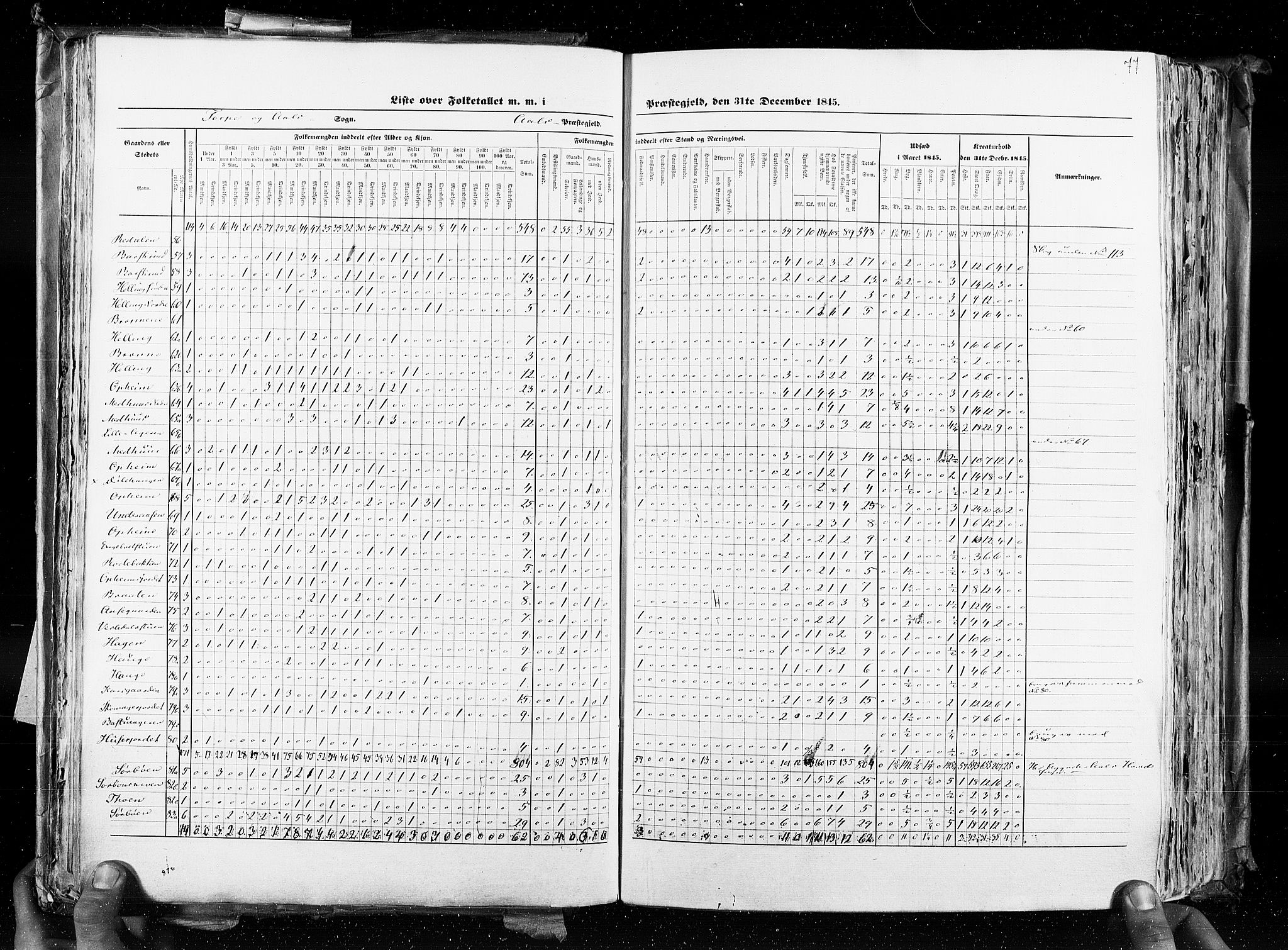 RA, Census 1845, vol. 4: Buskerud amt og Jarlsberg og Larvik amt, 1845, p. 77