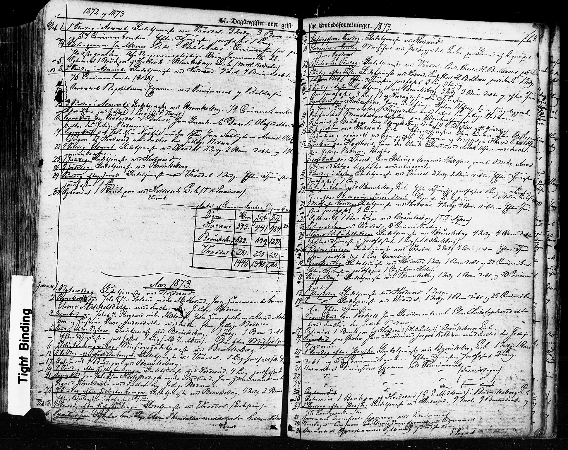 Kviteseid kirkebøker, SAKO/A-276/F/Fa/L0007: Parish register (official) no. I 7, 1859-1881, p. 713
