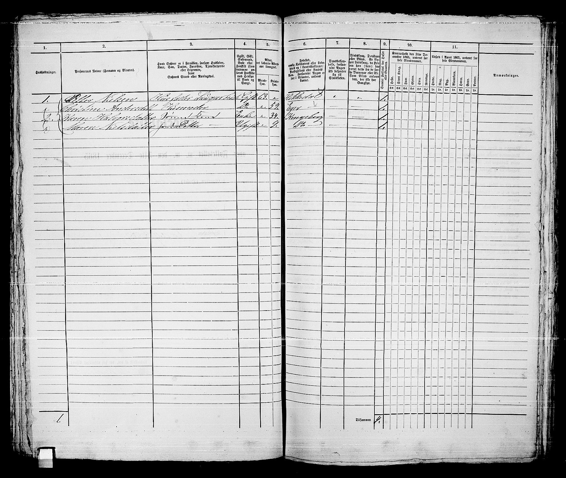 RA, 1865 census for Kongsberg/Kongsberg, 1865, p. 1223