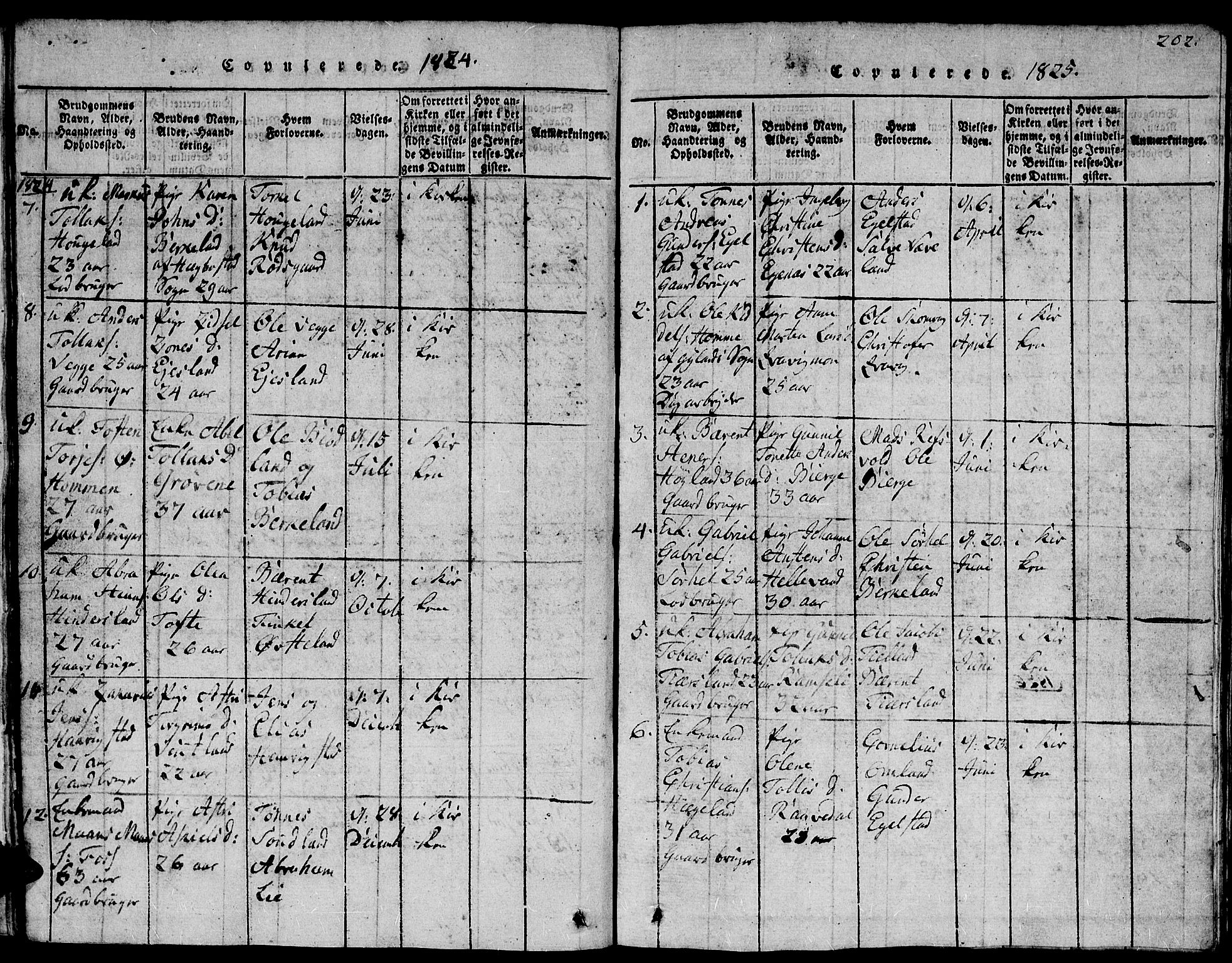 Lyngdal sokneprestkontor, SAK/1111-0029/F/Fb/Fbc/L0001: Parish register (copy) no. B 1, 1815-1844, p. 202
