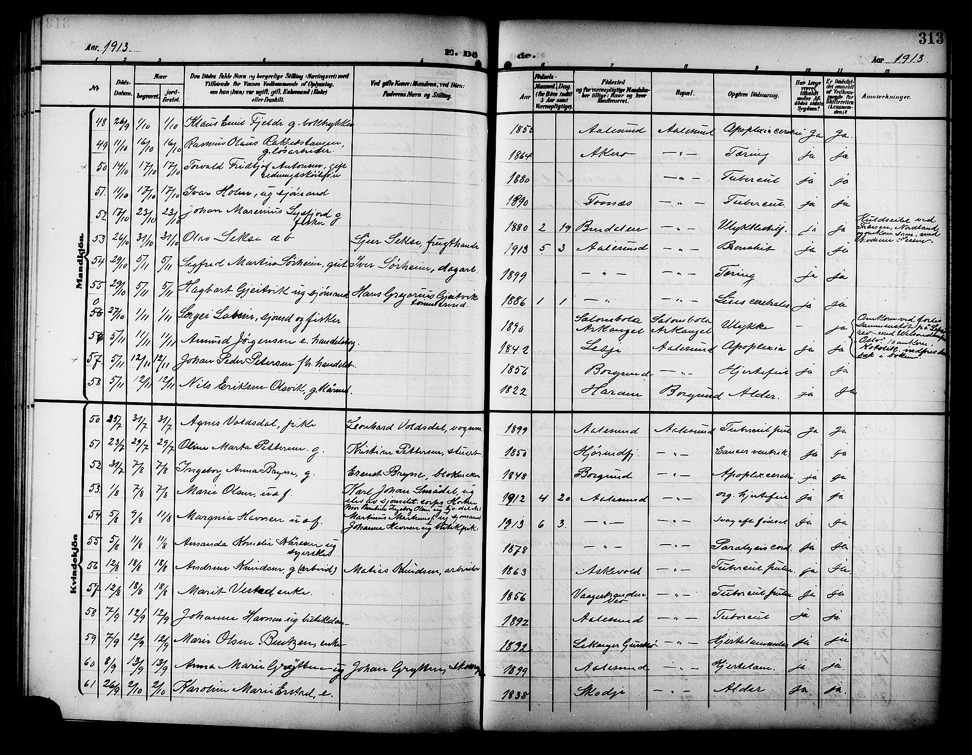 Ministerialprotokoller, klokkerbøker og fødselsregistre - Møre og Romsdal, AV/SAT-A-1454/529/L0470: Parish register (copy) no. 529C07, 1907-1917, p. 313