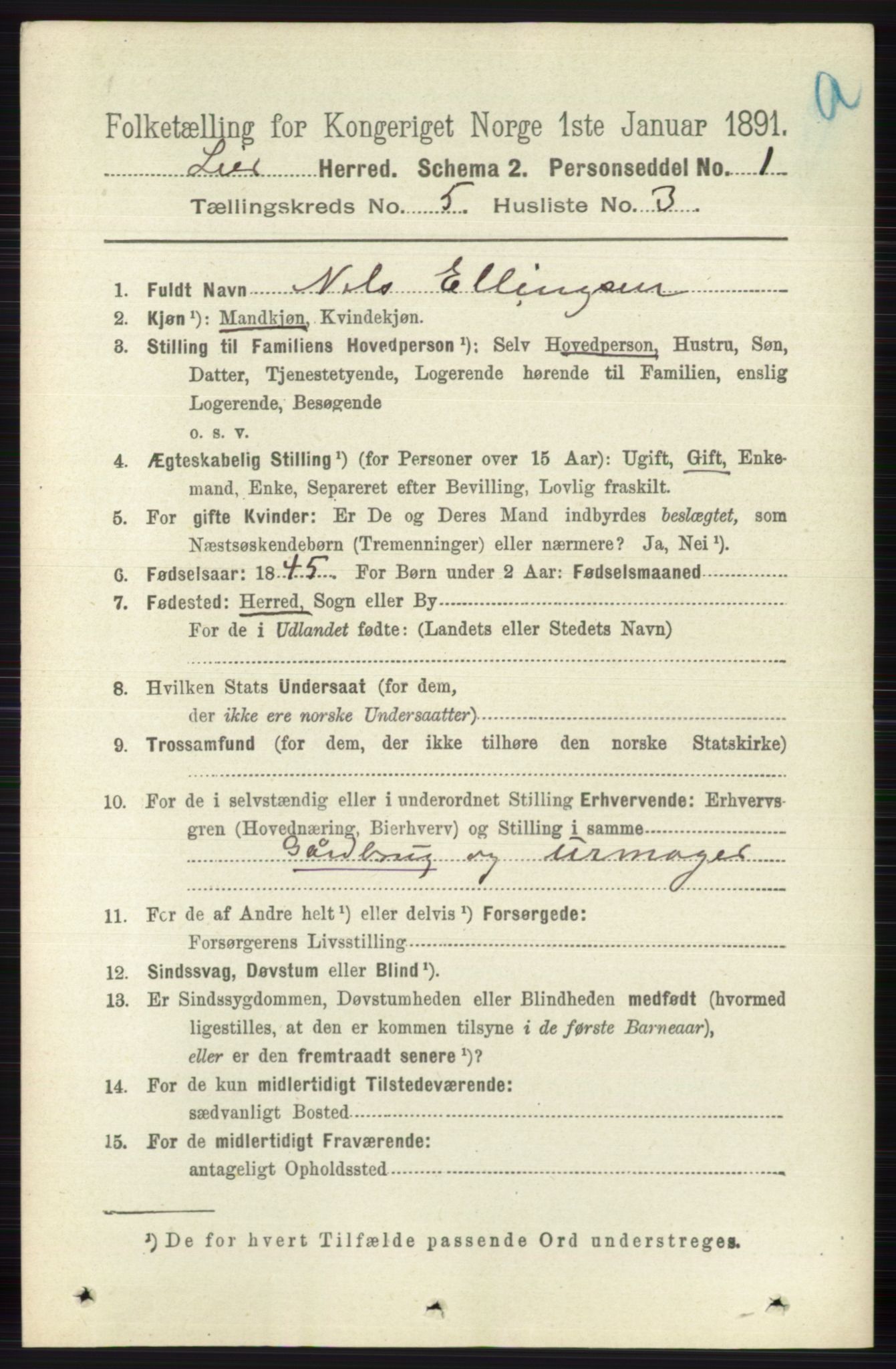 RA, 1891 census for 0626 Lier, 1891, p. 3289