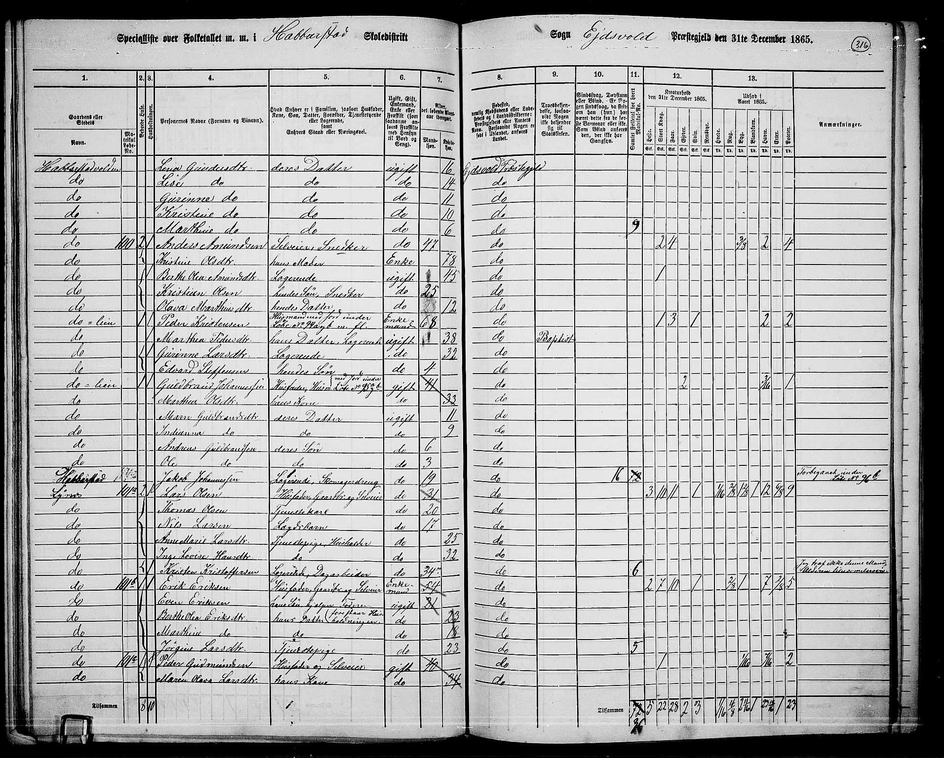 RA, 1865 census for Eidsvoll, 1865, p. 282