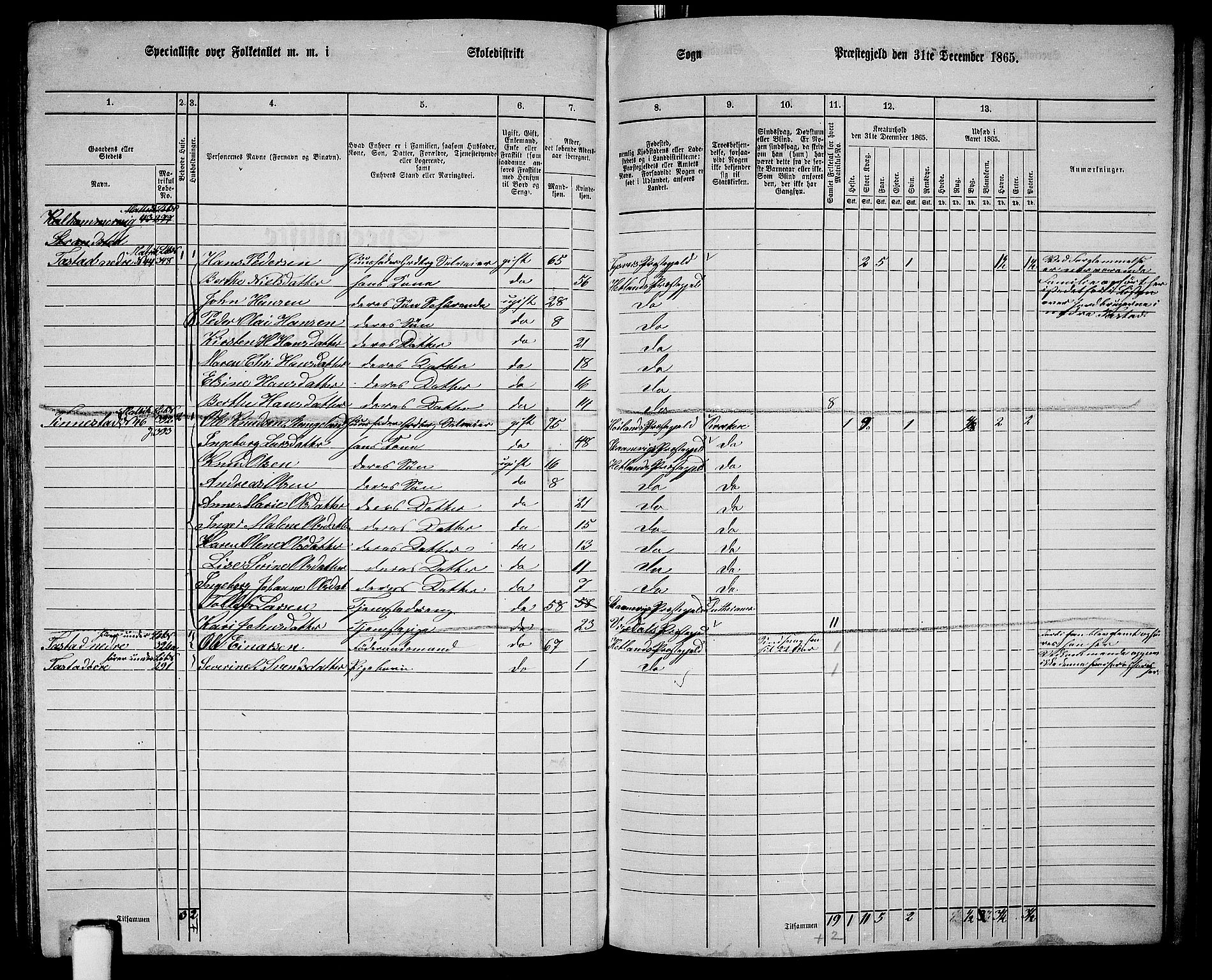 RA, 1865 census for Hetland, 1865, p. 180