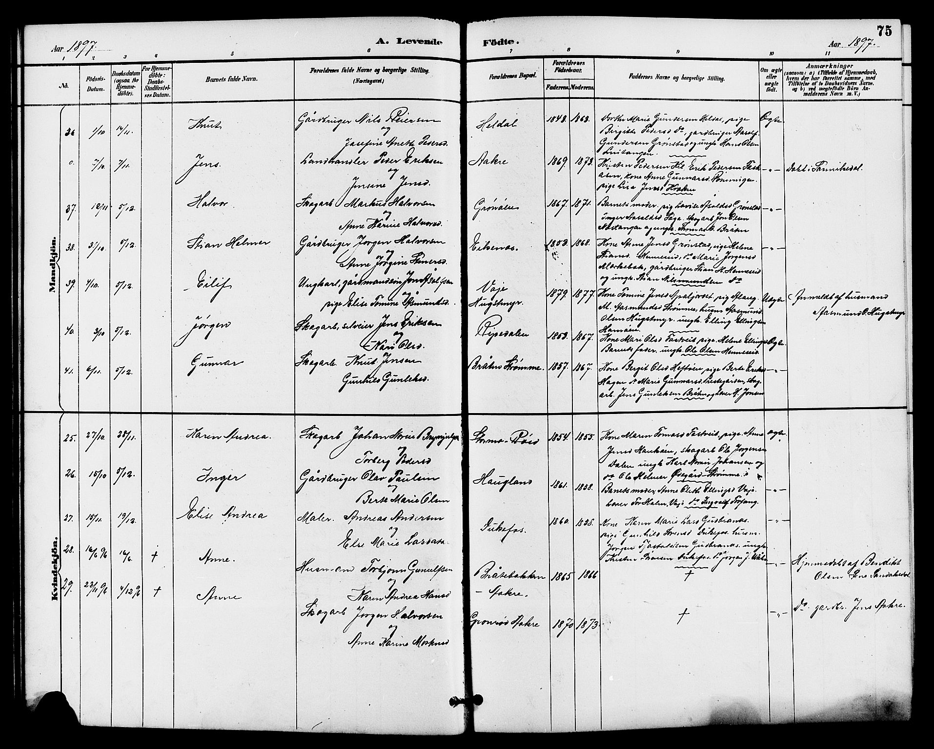 Drangedal kirkebøker, SAKO/A-258/G/Ga/L0003: Parish register (copy) no. I 3, 1887-1906, p. 75