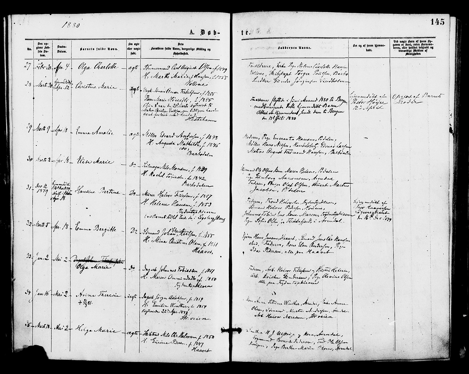 Barbu sokneprestkontor, AV/SAK-1111-0003/F/Fa/L0001: Parish register (official) no. A 1 /1, 1878-1883, p. 145