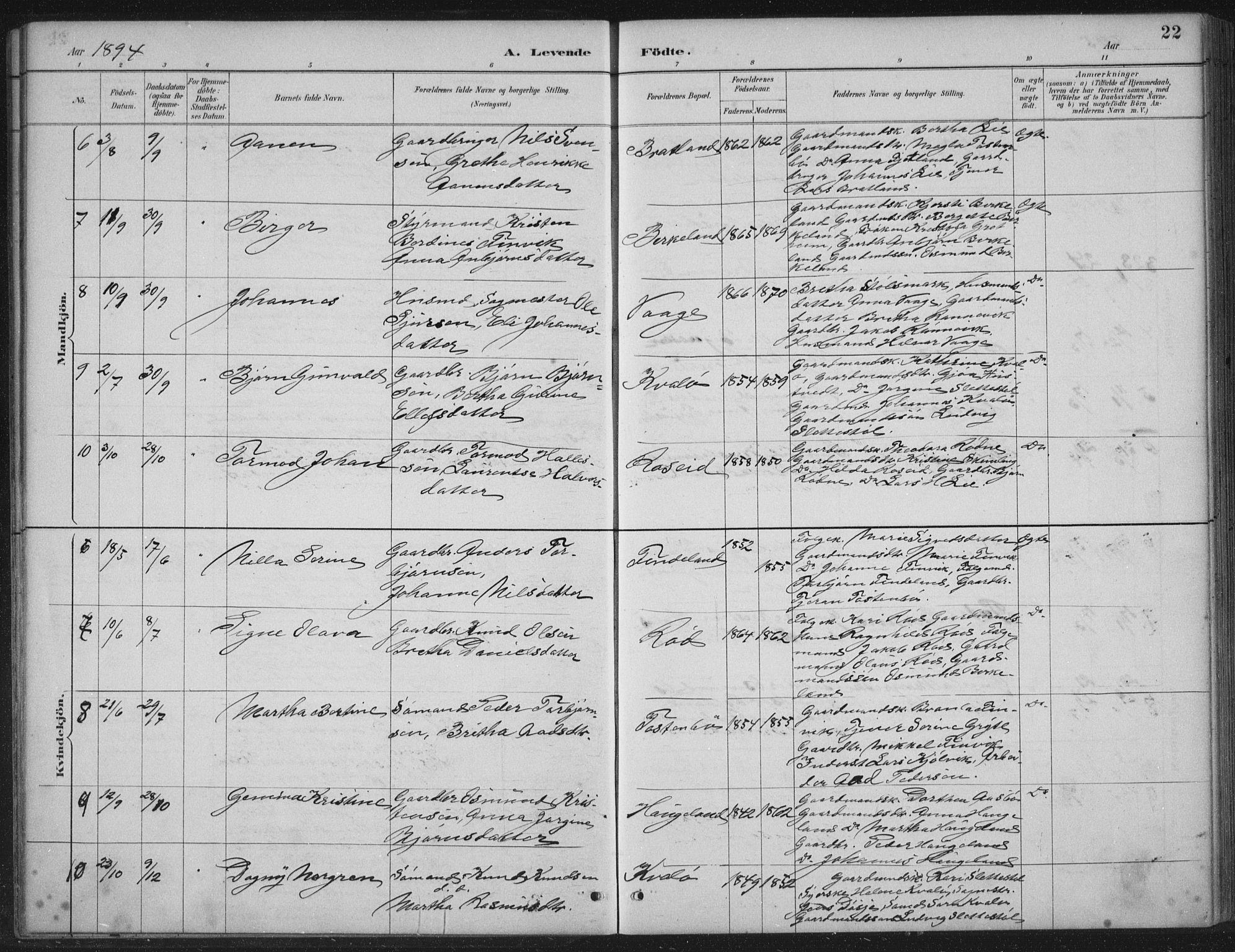 Vikedal sokneprestkontor, AV/SAST-A-101840/01/IV: Parish register (official) no. A 12, 1886-1929, p. 22