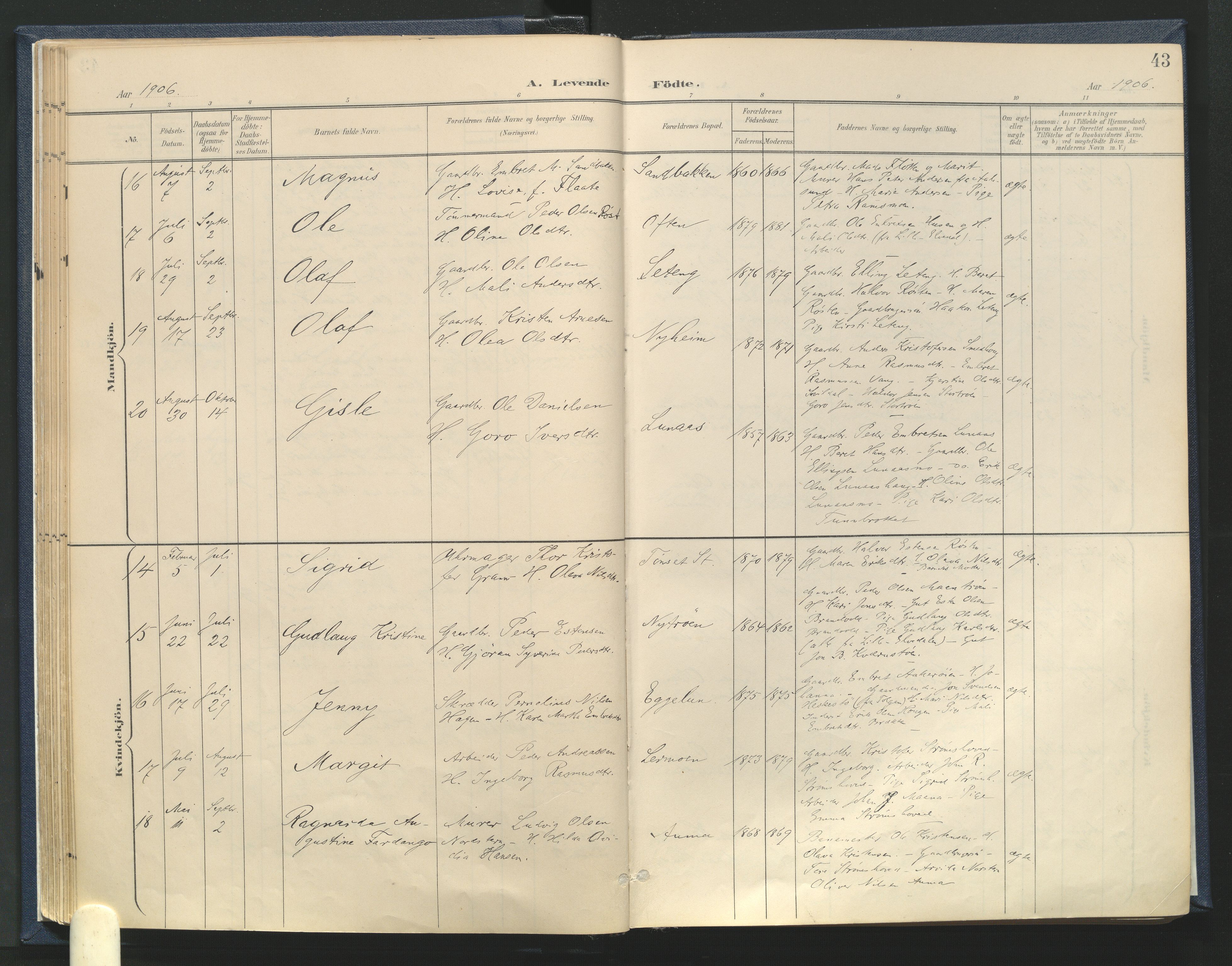 Tynset prestekontor, AV/SAH-PREST-058/H/Ha/Haa/L0025: Parish register (official) no. 25, 1900-1914, p. 43