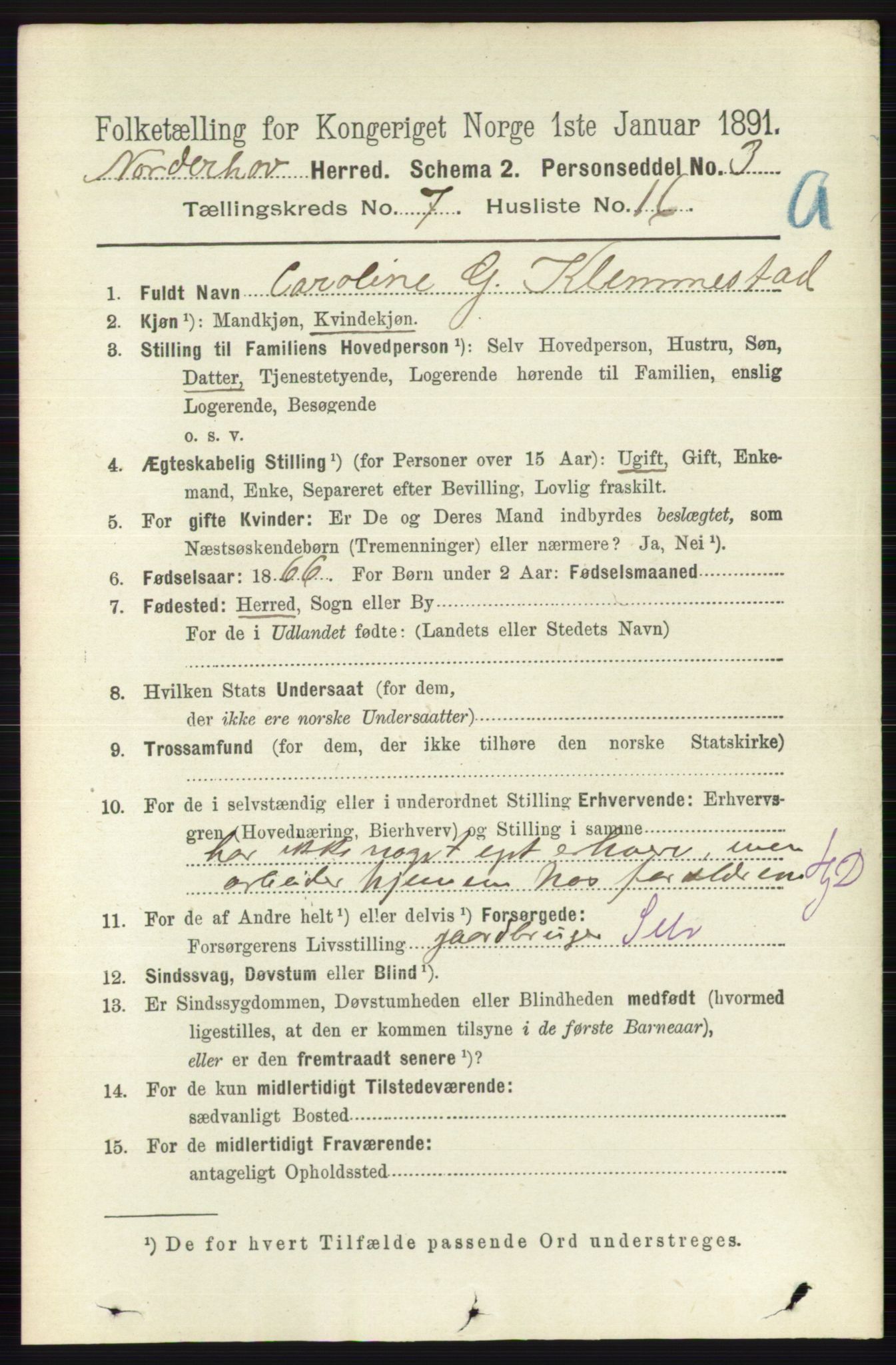 RA, 1891 census for 0613 Norderhov, 1891, p. 4565