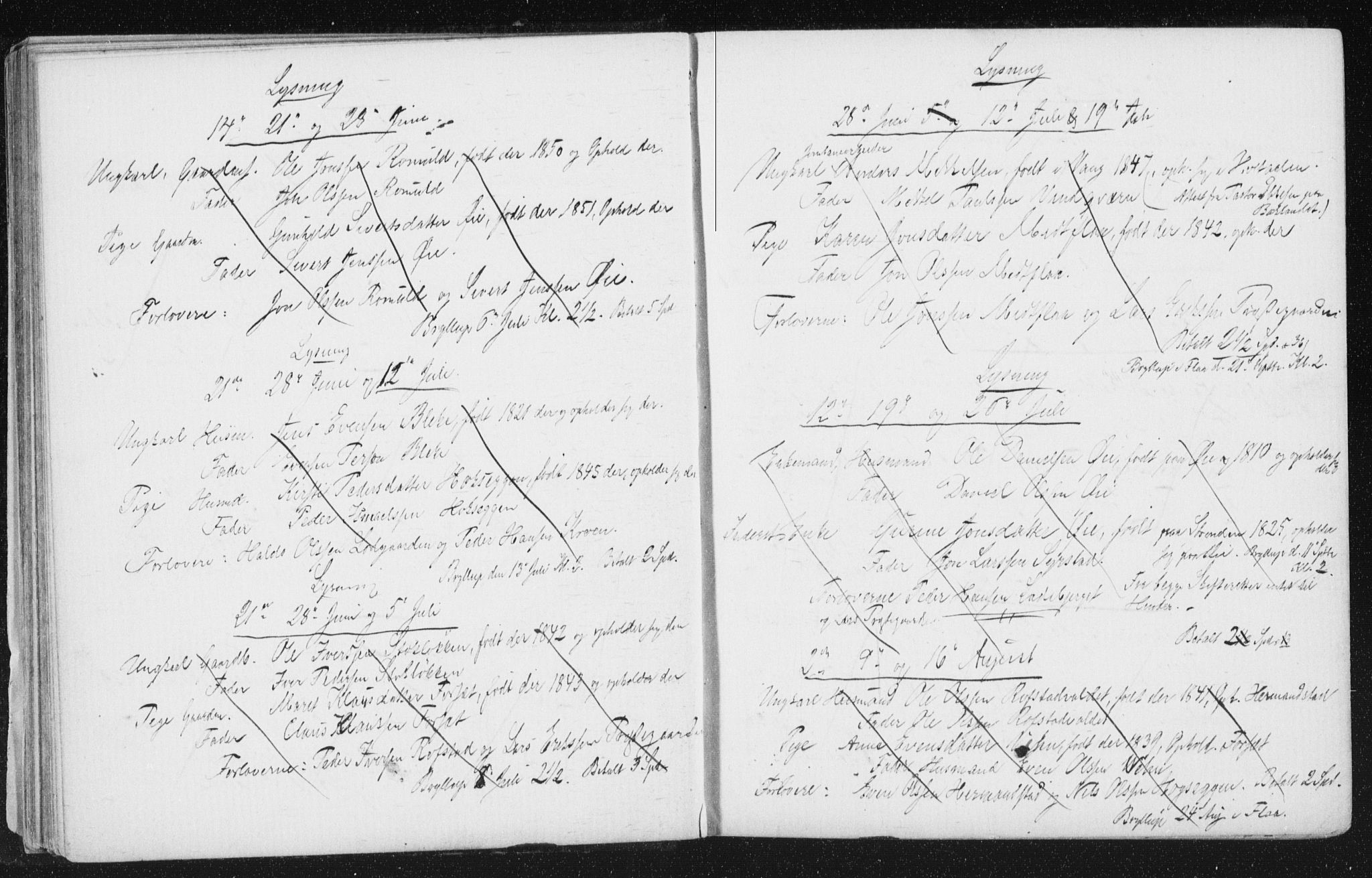 Melhus sokneprestkontor, AV/SAT-A-1141/1/I/I1/I1f/L0010: Banns register no. 691.I.1F10, 1867-1894