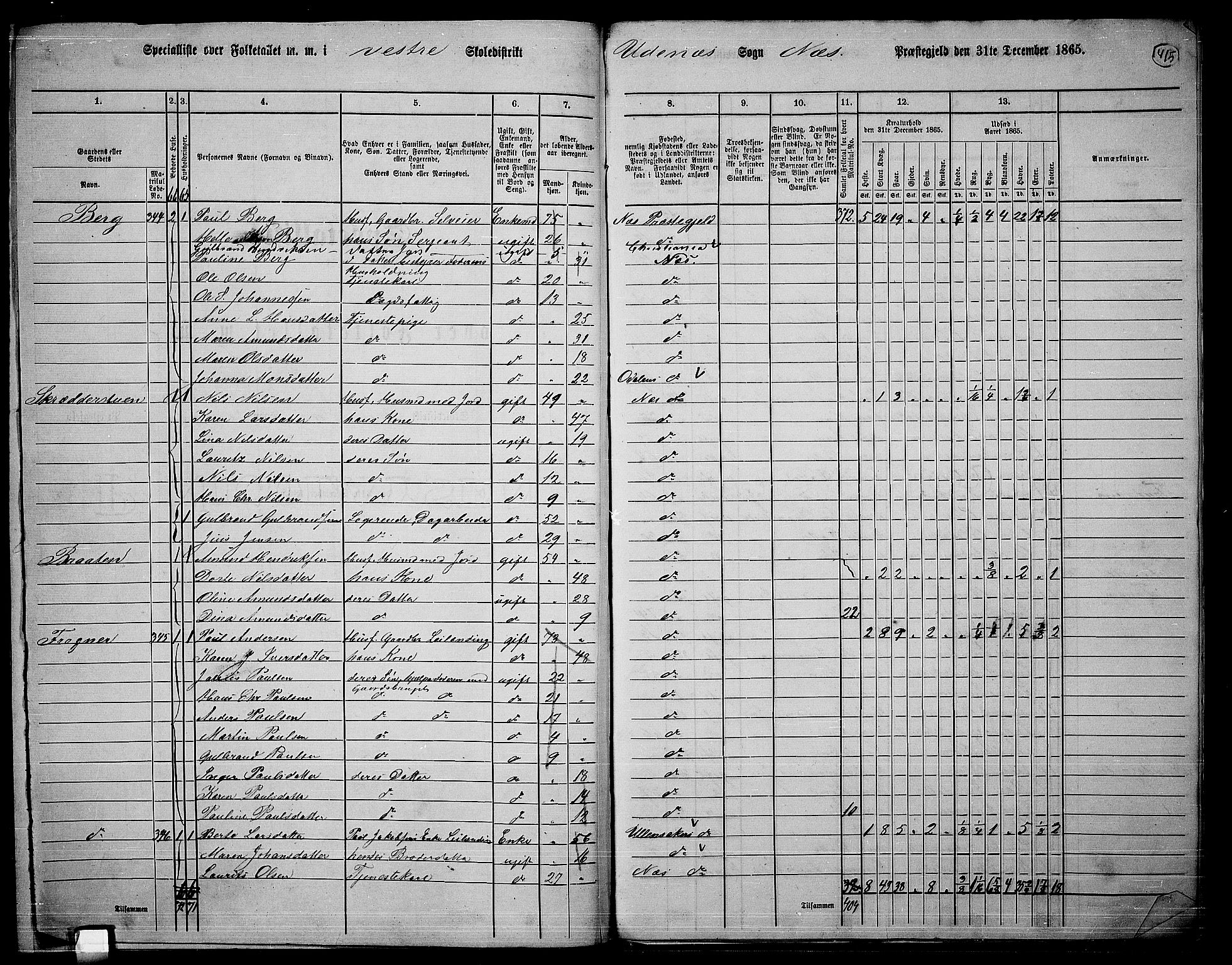 RA, 1865 census for Nes, 1865, p. 381