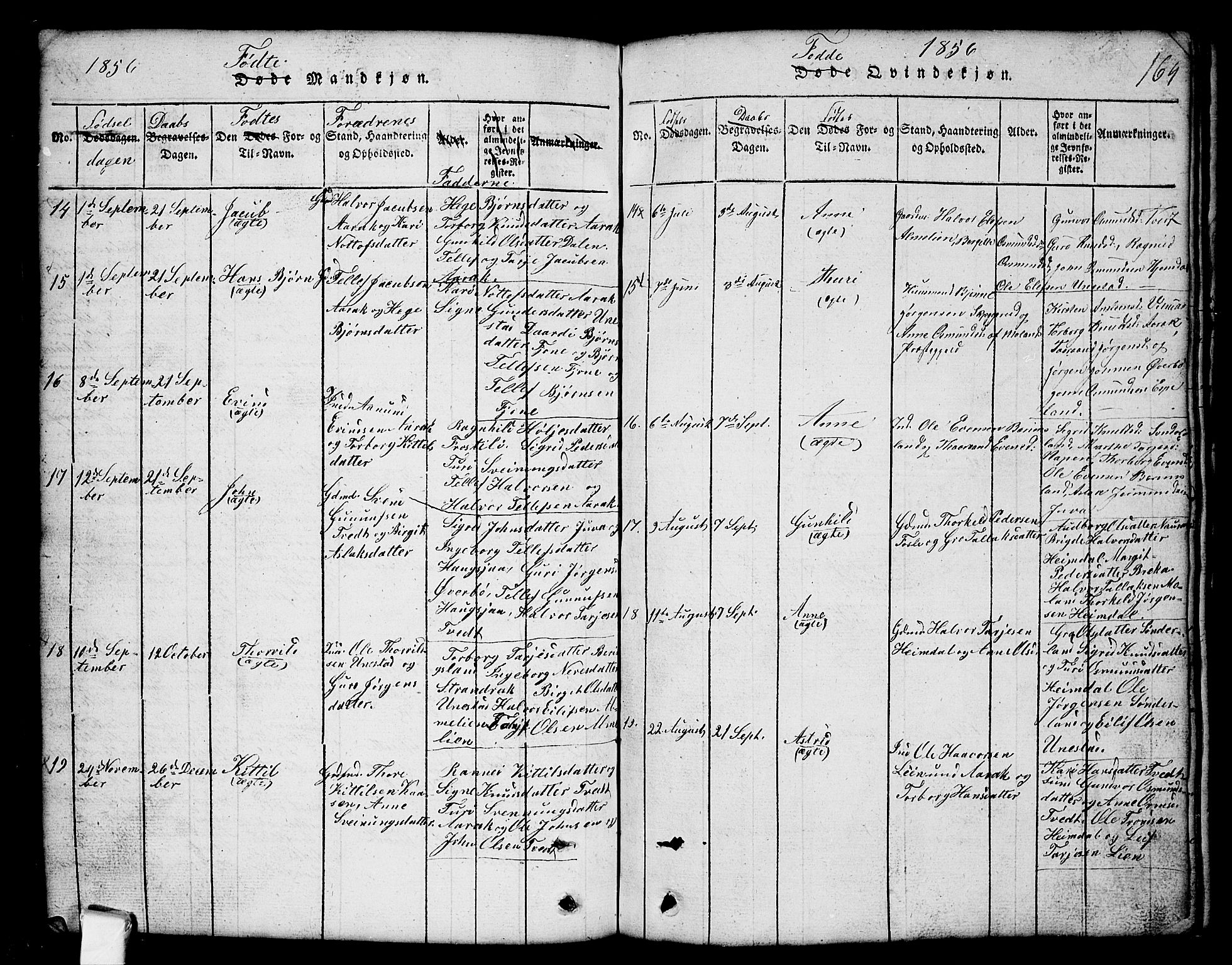 Nissedal kirkebøker, SAKO/A-288/G/Gb/L0001: Parish register (copy) no. II 1, 1814-1862, p. 164
