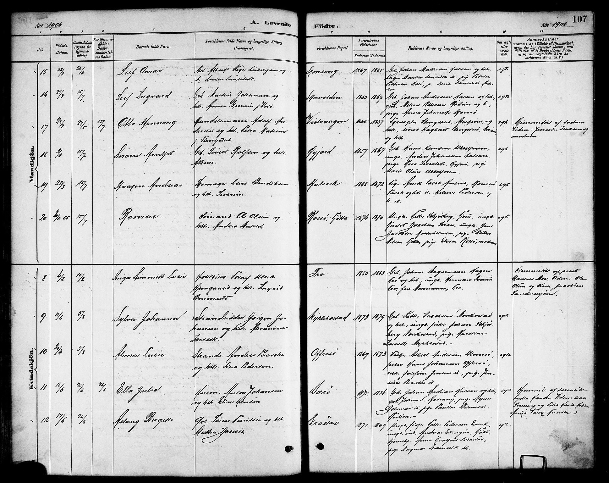 Ministerialprotokoller, klokkerbøker og fødselsregistre - Nordland, AV/SAT-A-1459/817/L0268: Parish register (copy) no. 817C03, 1884-1920, p. 107