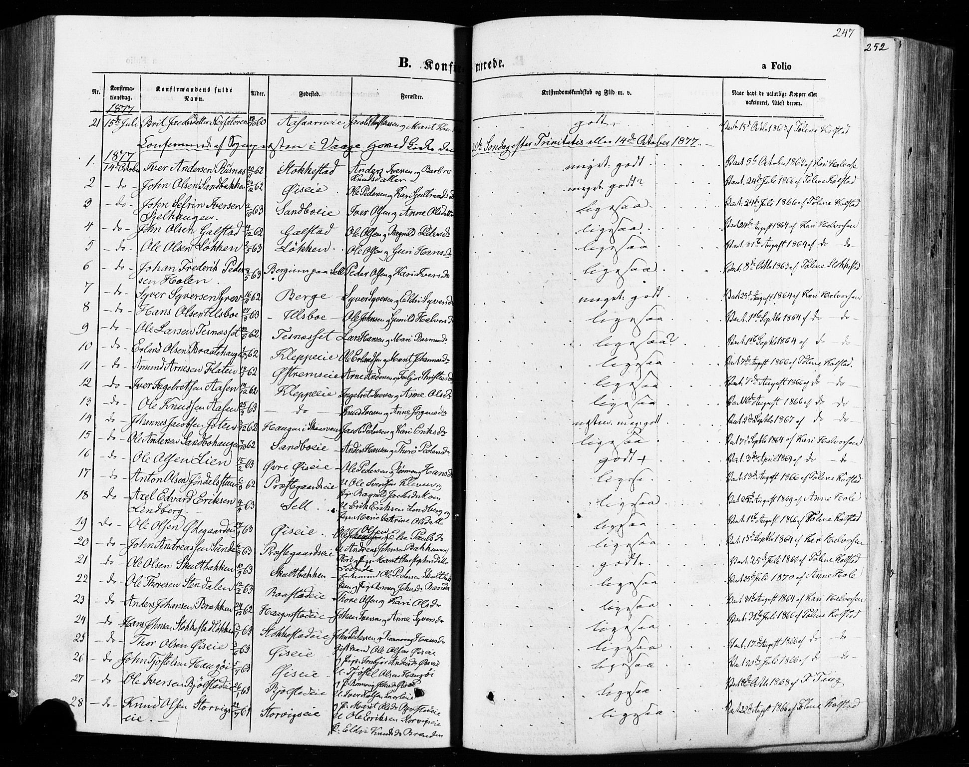 Vågå prestekontor, AV/SAH-PREST-076/H/Ha/Haa/L0007: Parish register (official) no. 7 /1, 1872-1886, p. 247