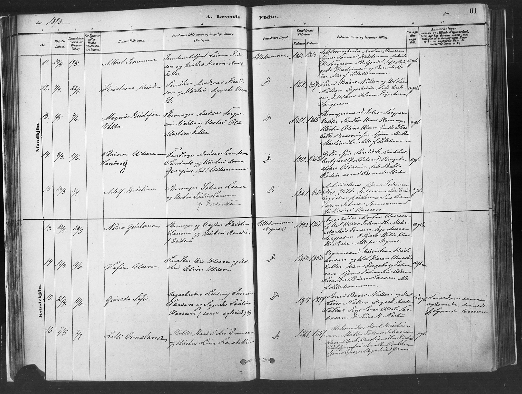 Fåberg prestekontor, AV/SAH-PREST-086/H/Ha/Haa/L0010: Parish register (official) no. 10, 1879-1900, p. 61