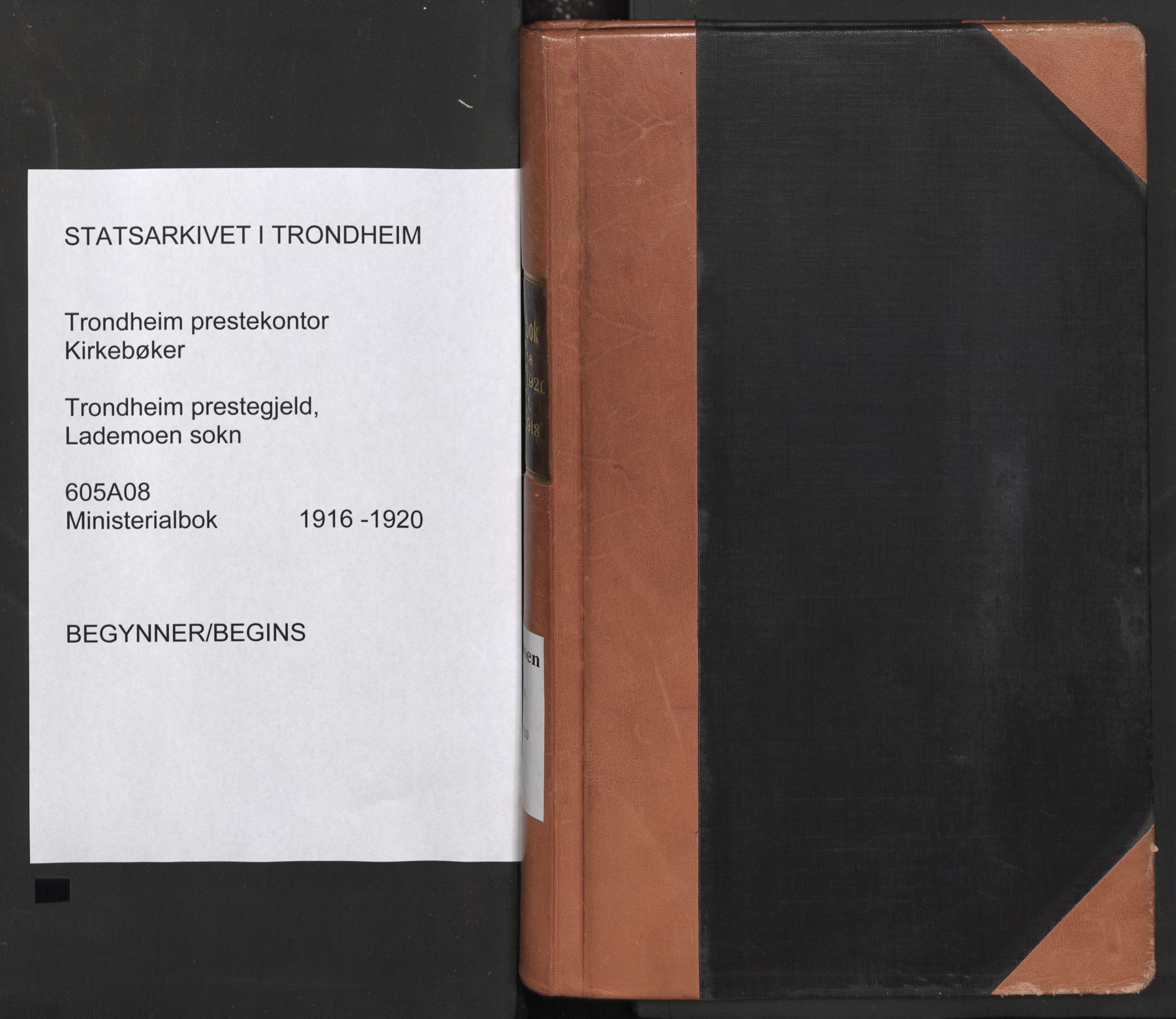 Ministerialprotokoller, klokkerbøker og fødselsregistre - Sør-Trøndelag, SAT/A-1456/605/L0246: Parish register (official) no. 605A08, 1916-1920