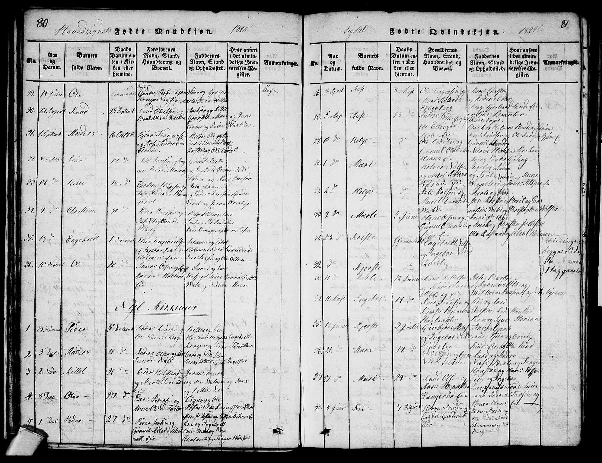 Sigdal kirkebøker, AV/SAKO-A-245/G/Ga/L0001: Parish register (copy) no. I 1 /1, 1816-1835, p. 80-81