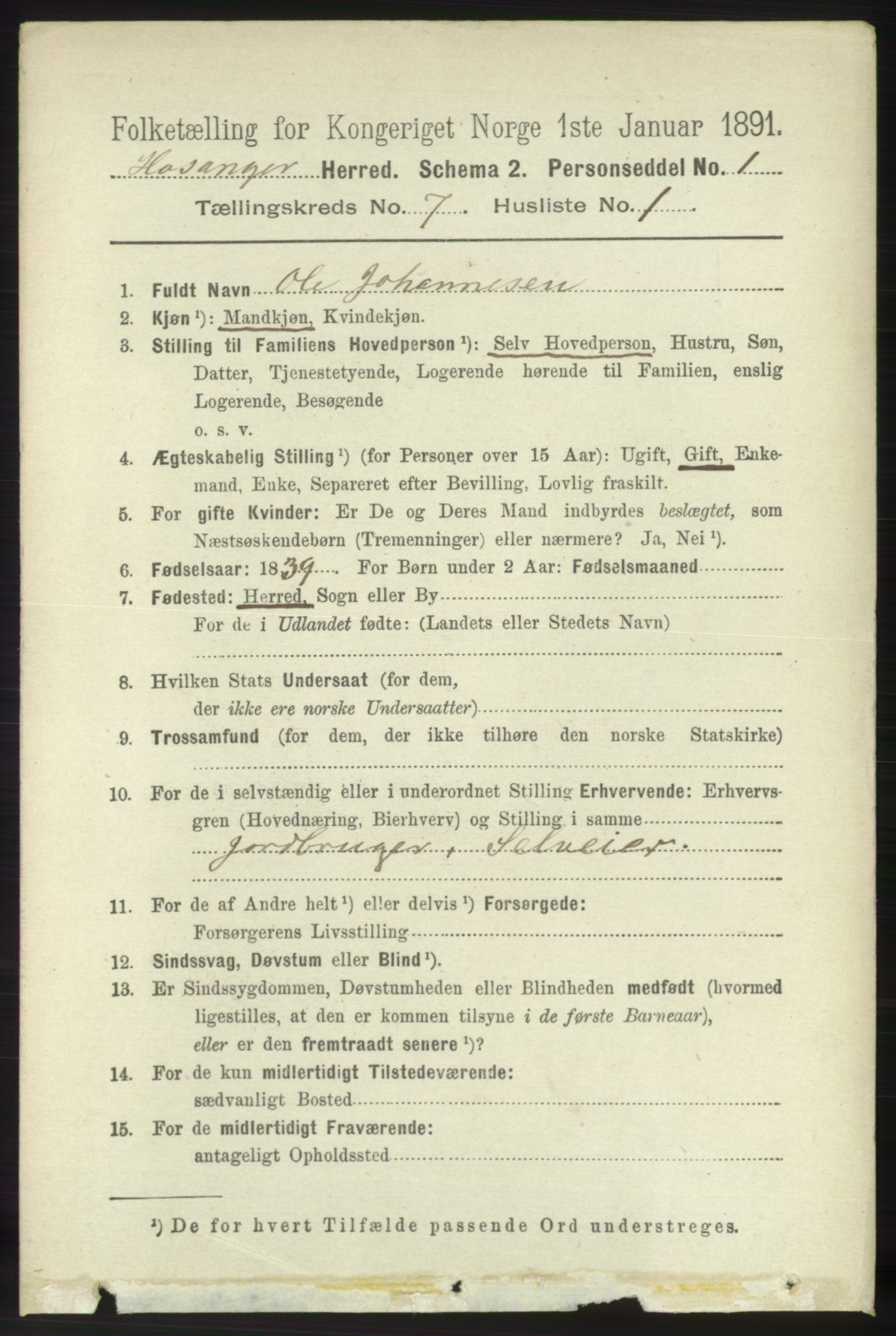 RA, 1891 census for 1253 Hosanger, 1891, p. 2491