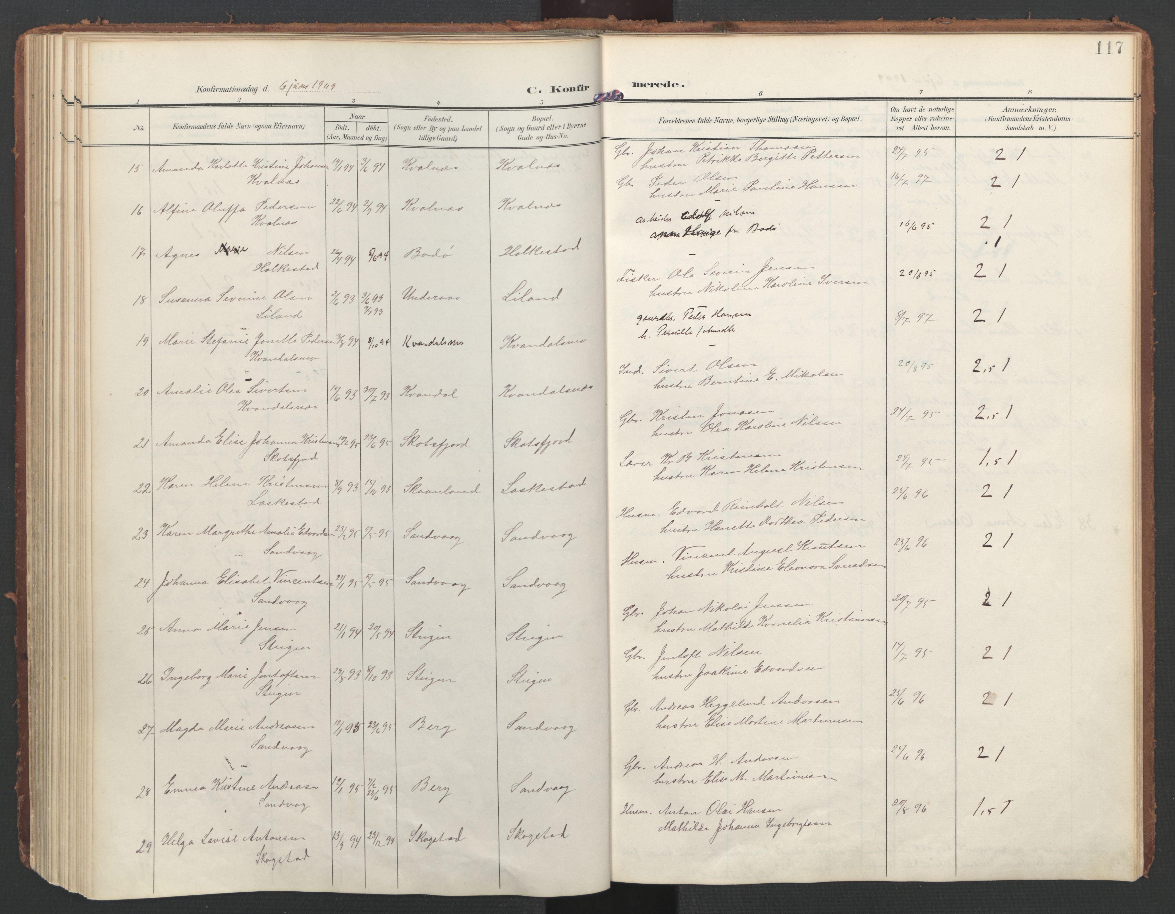 Ministerialprotokoller, klokkerbøker og fødselsregistre - Nordland, AV/SAT-A-1459/855/L0805: Parish register (official) no. 855A13, 1906-1920, p. 117