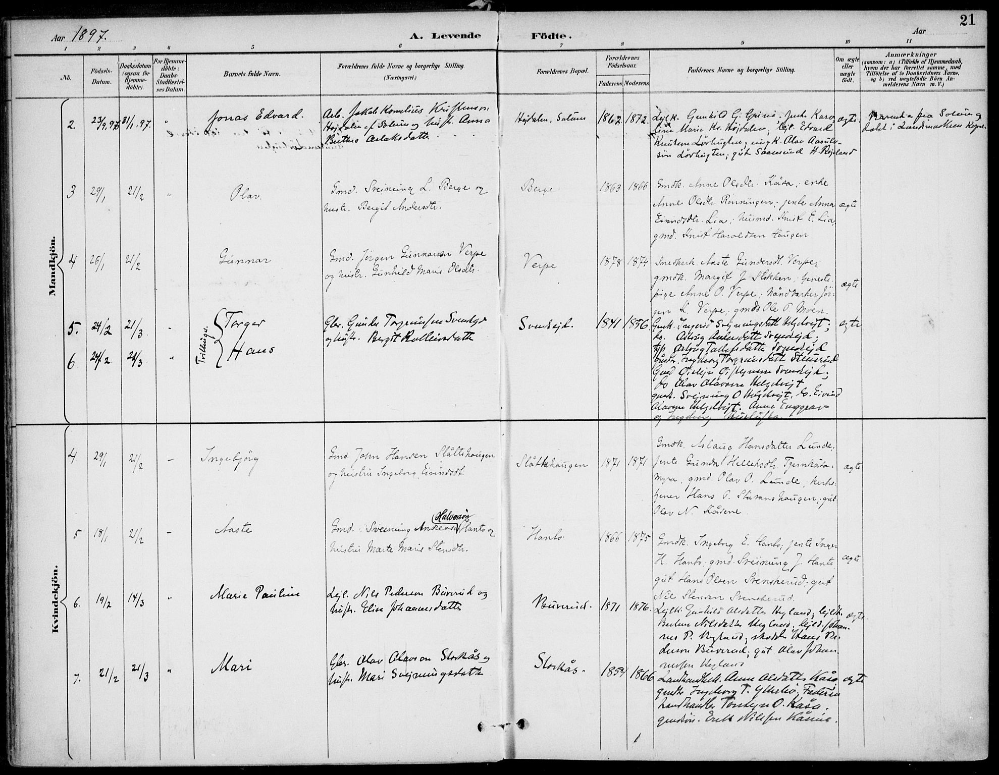 Lunde kirkebøker, SAKO/A-282/F/Fa/L0003: Parish register (official) no. I 3, 1893-1902, p. 21
